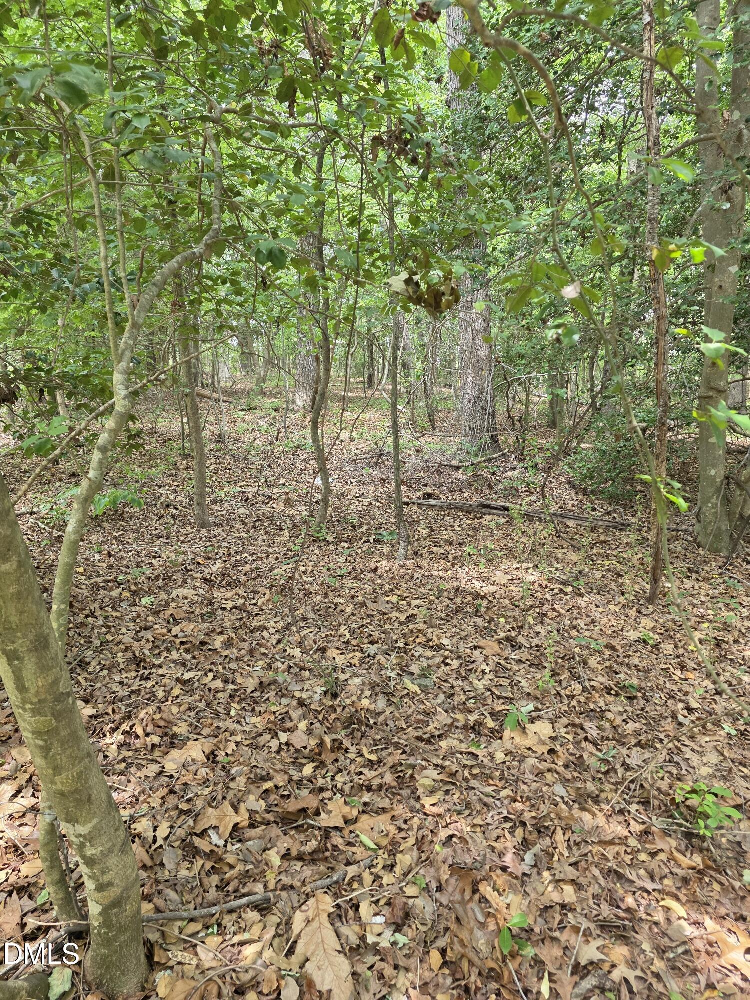 4901 Bluebird House Lane Property Photo 4