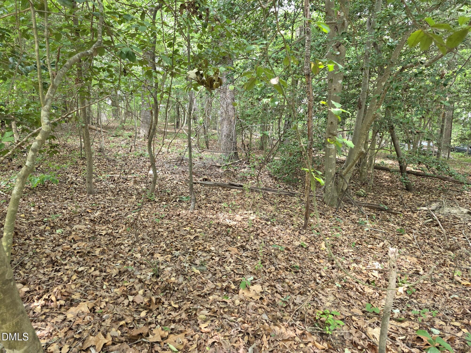 4901 Bluebird House Lane Property Photo 5