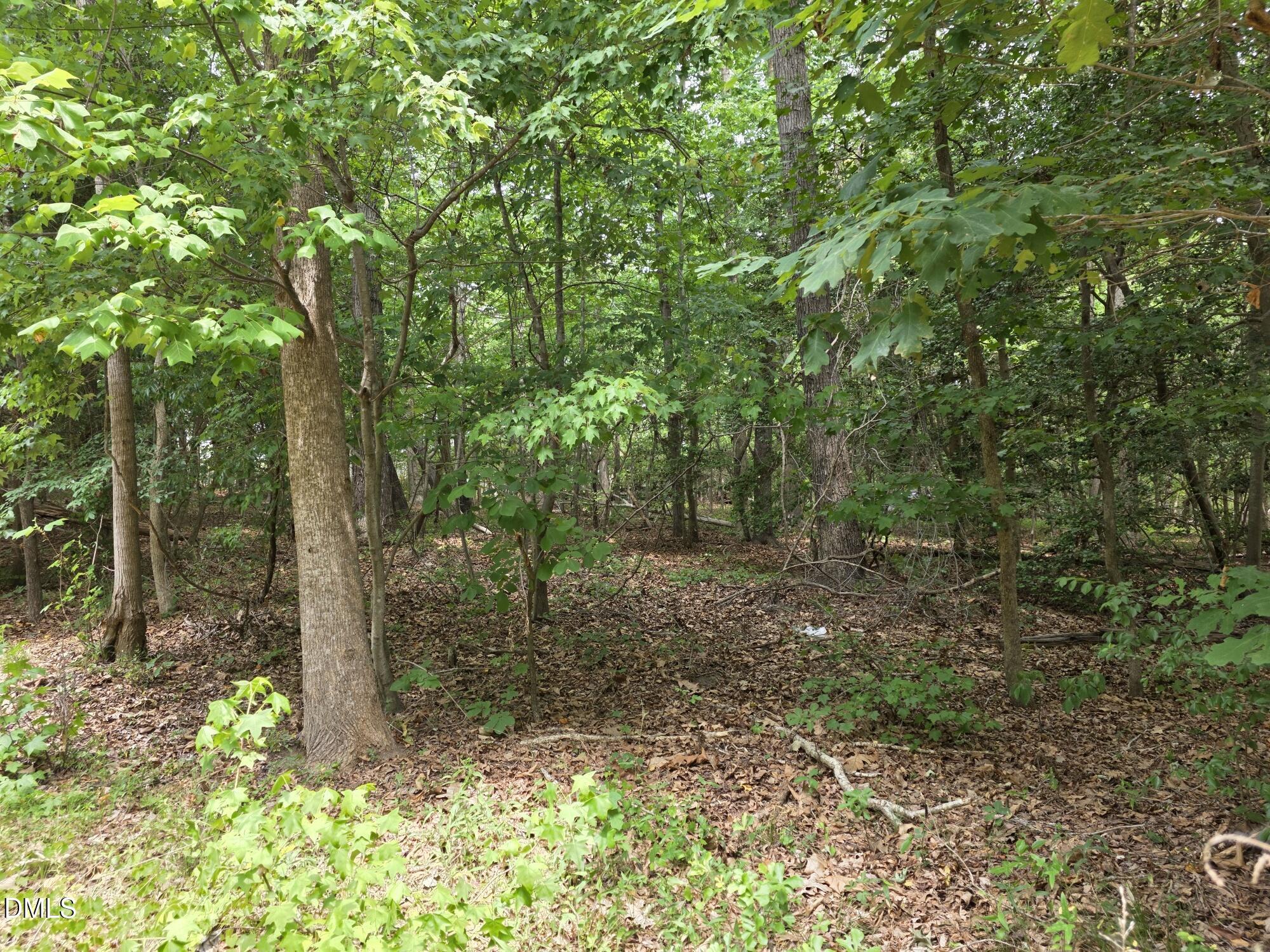 4901 Bluebird House Lane Property Photo 6