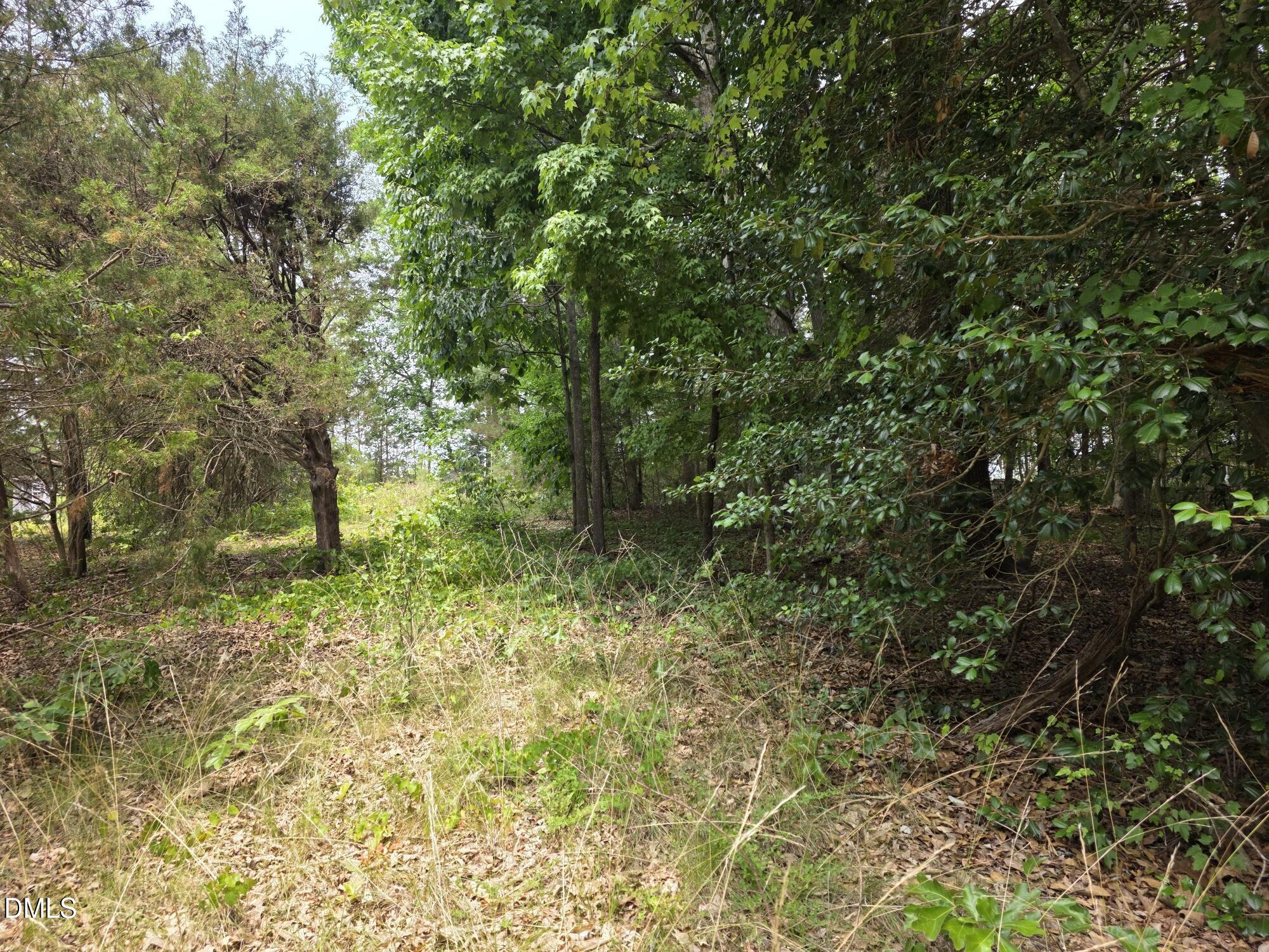 4901 Bluebird House Lane Property Photo 7