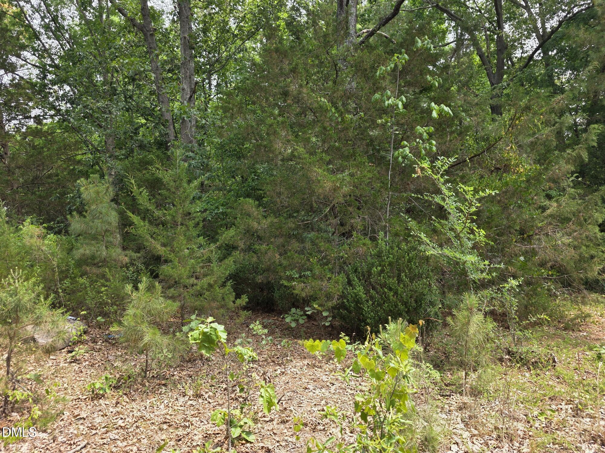 4901 Bluebird House Lane Property Photo 9