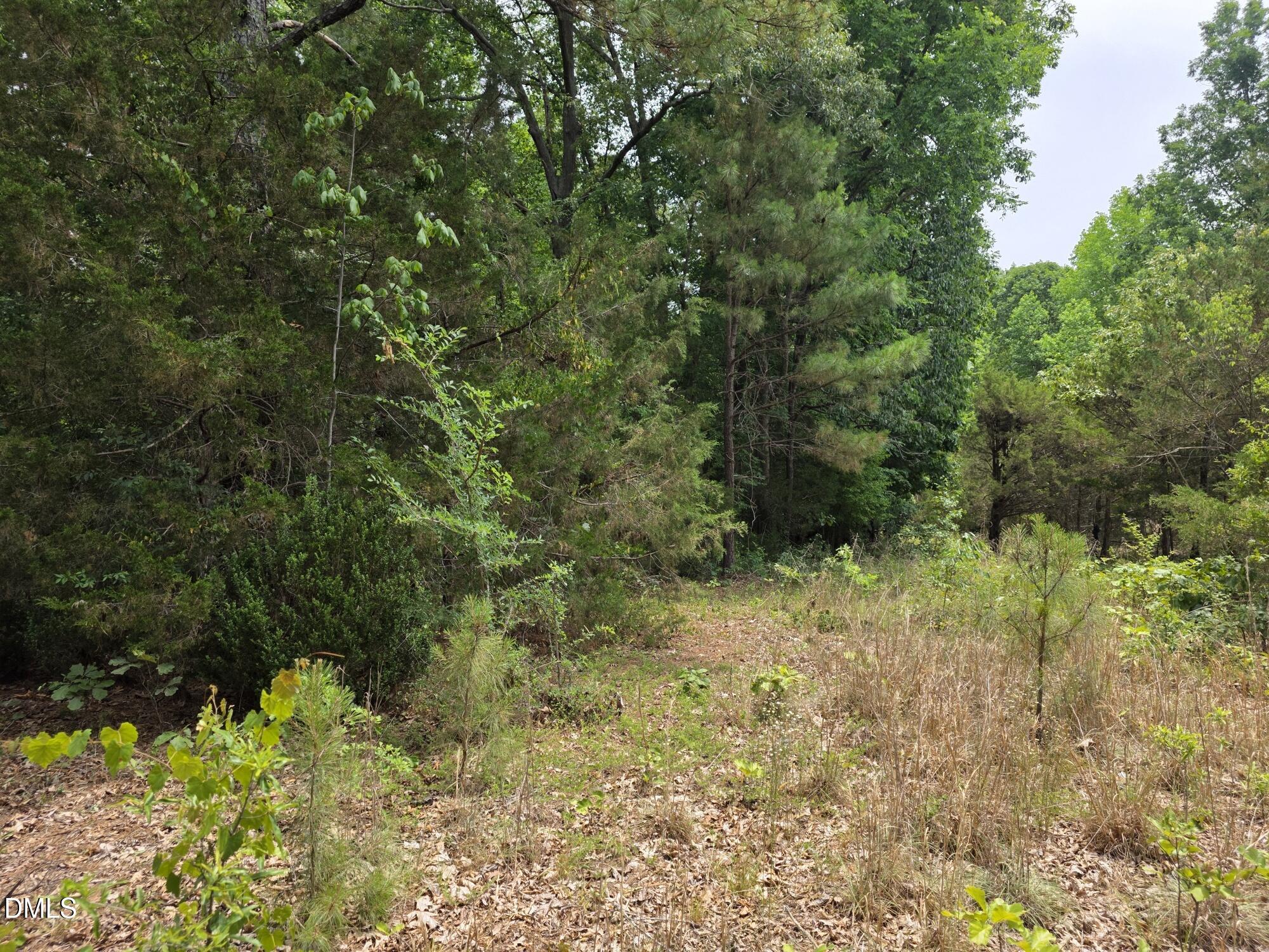 4901 Bluebird House Lane Property Photo 10