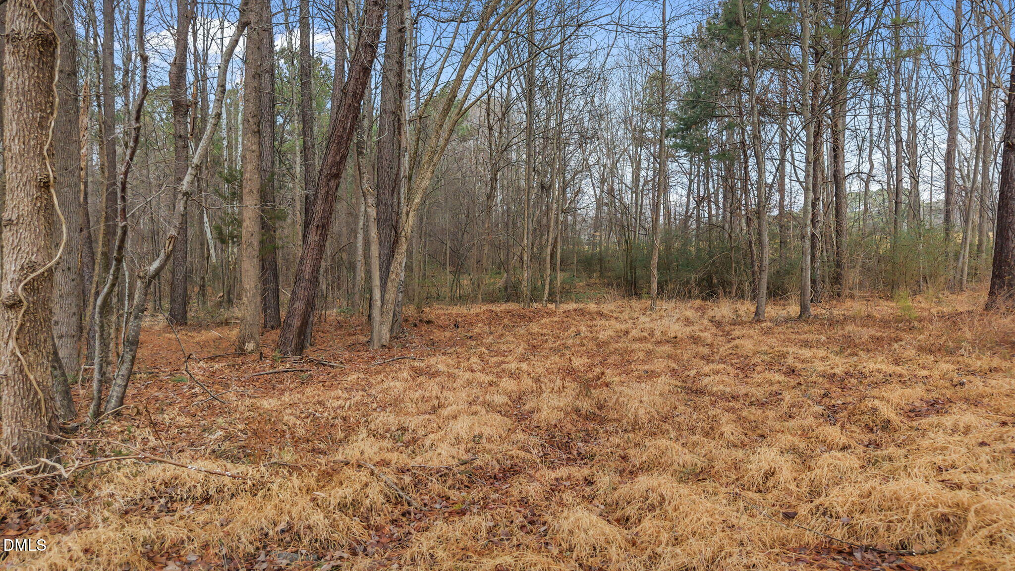 120 Corinth Drive Property Photo 8
