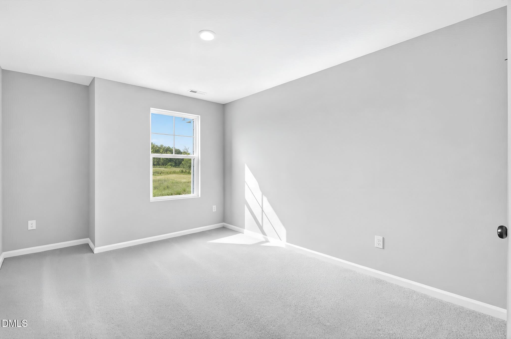 322 Marmalade Sky Lane Property Photo 16