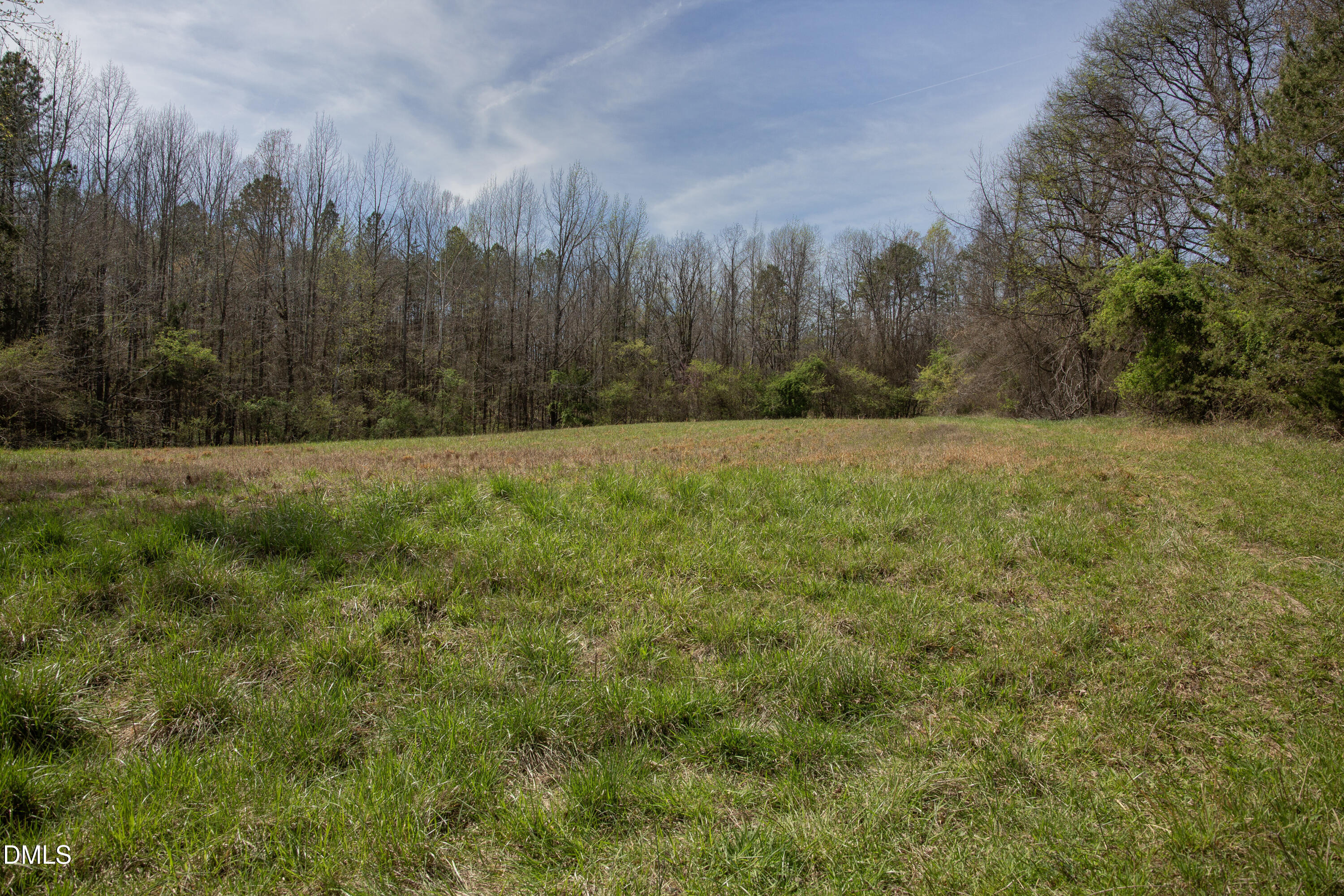 000 Doll Branch Road Property Photo 13