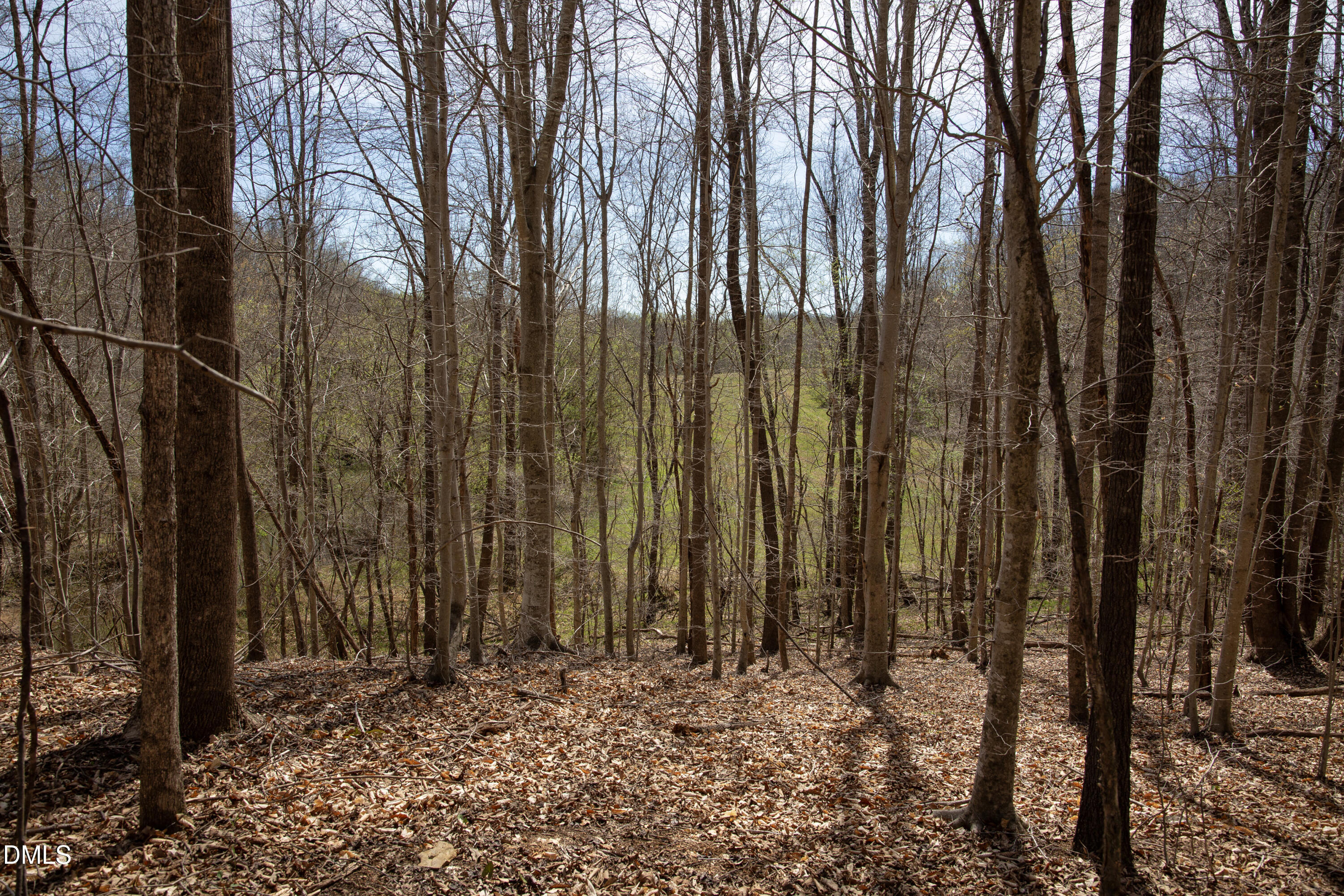 000 Doll Branch Road Property Photo 17