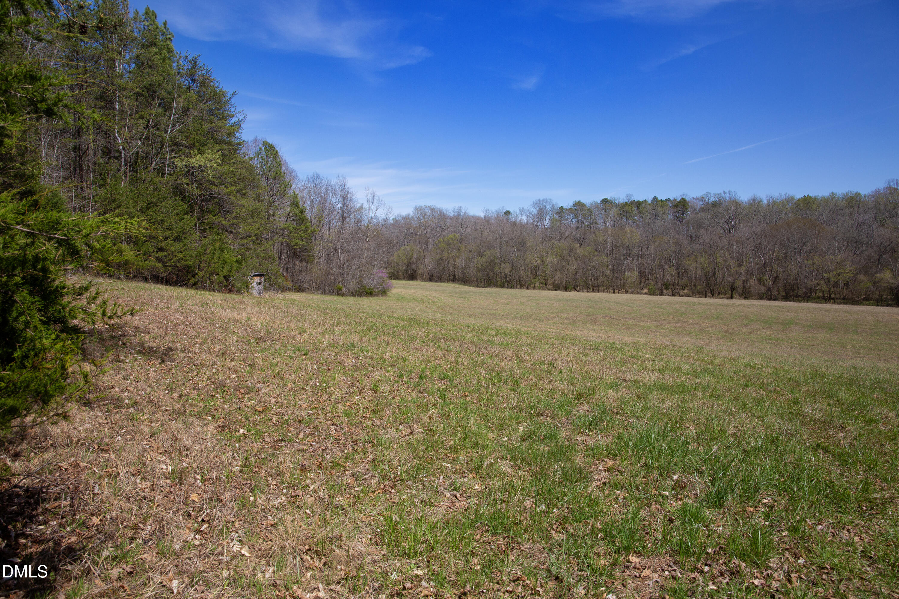 000 Doll Branch Road Property Photo 28