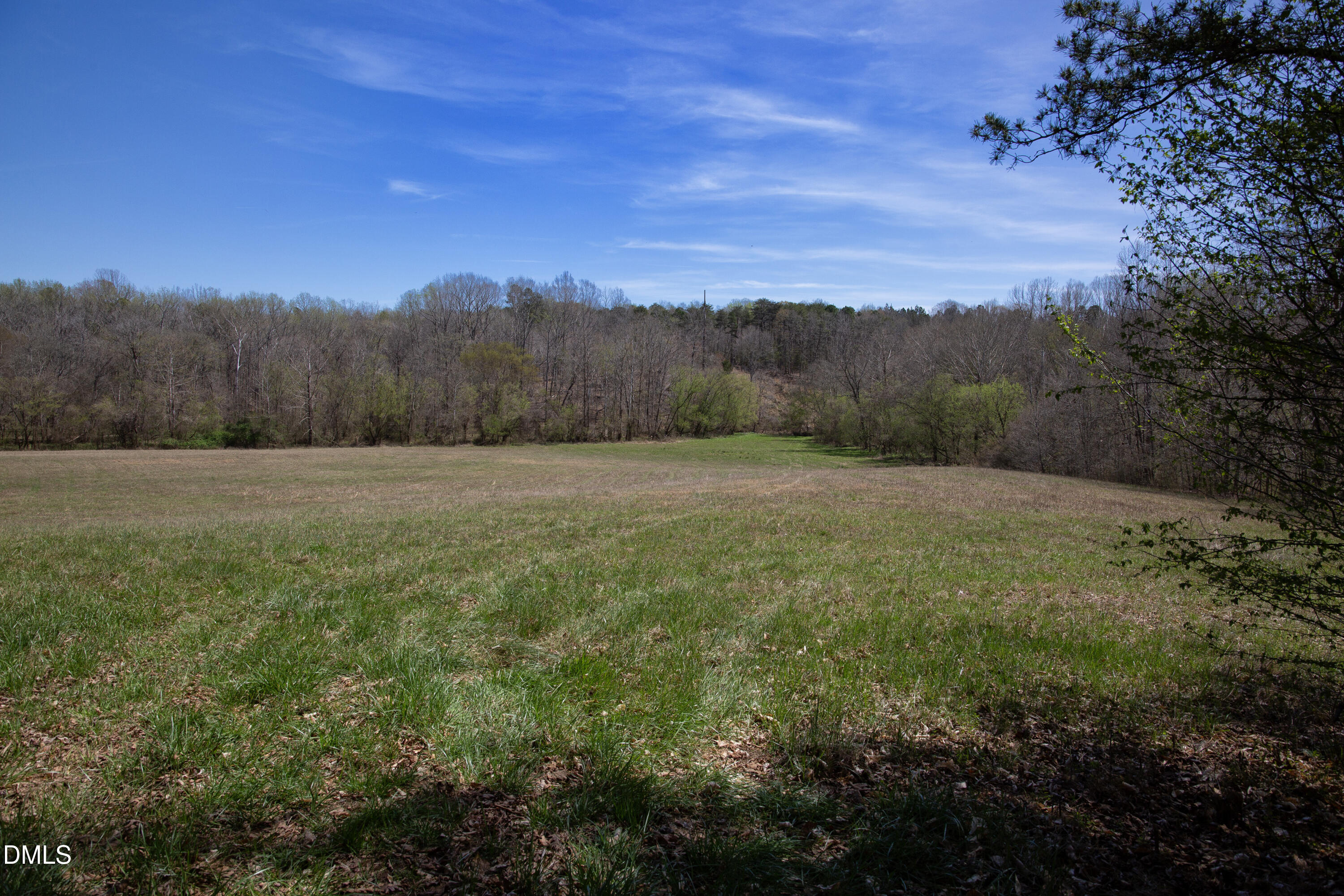 000 Doll Branch Road Property Photo 29