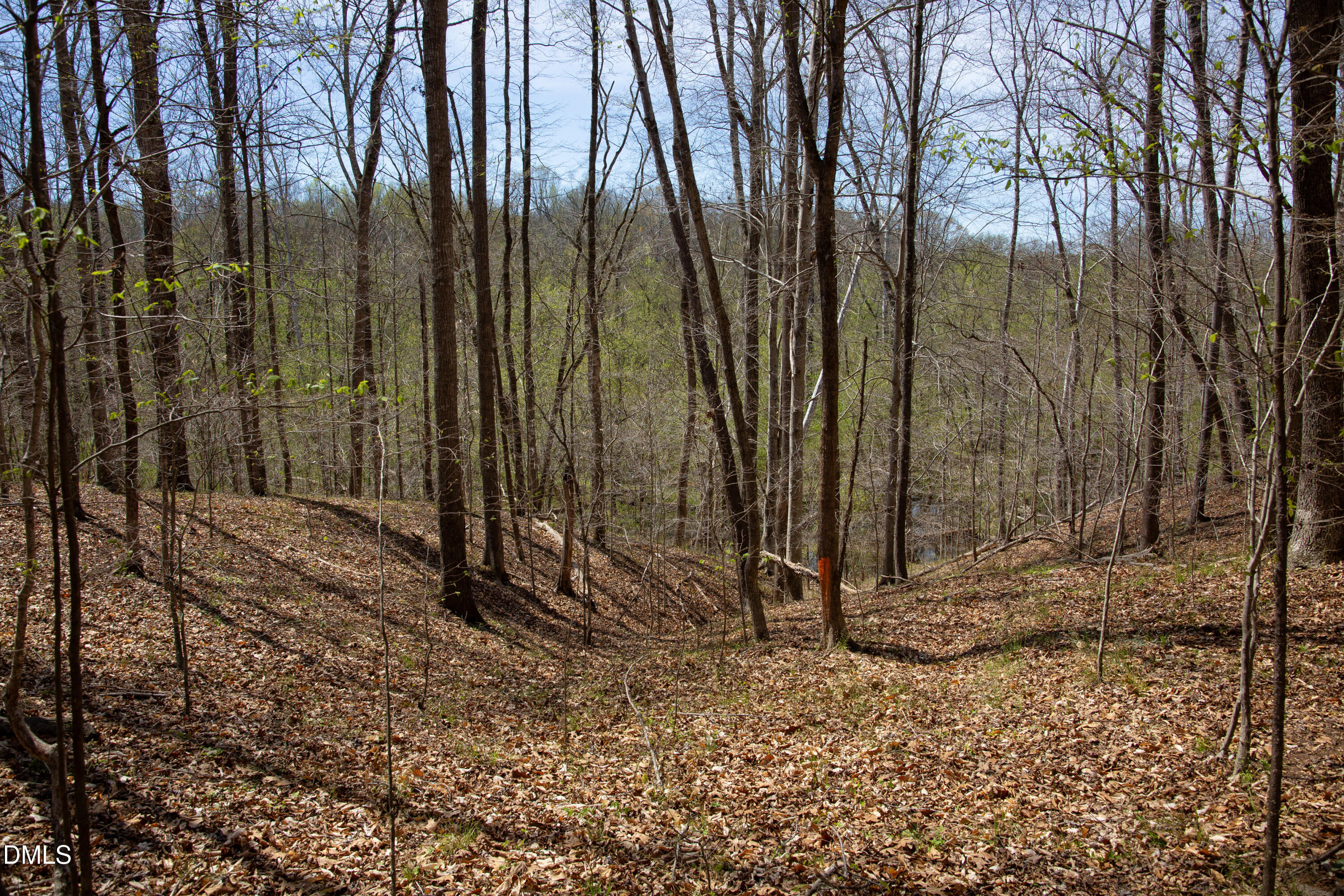 000 Doll Branch Road Property Photo 30