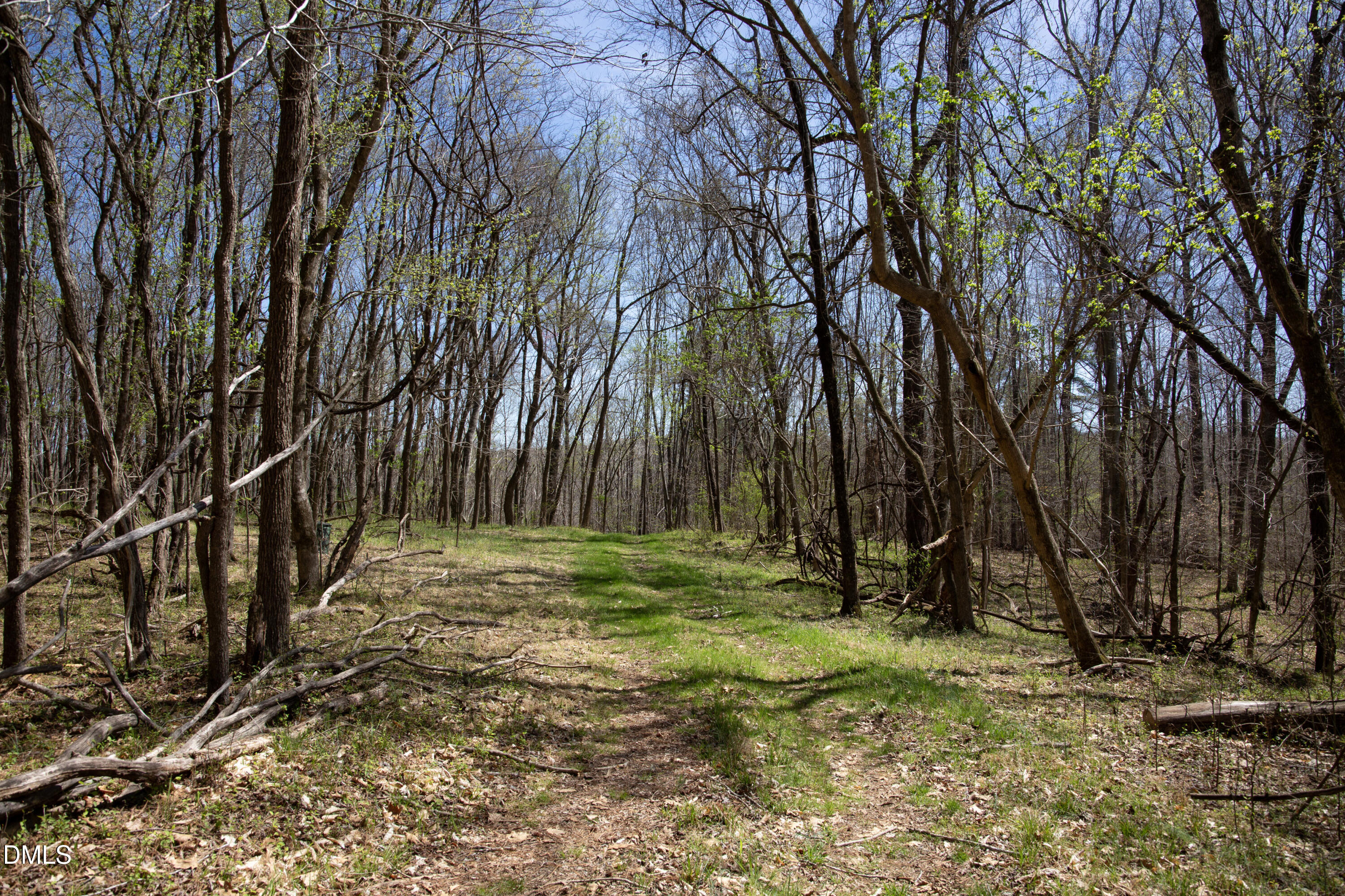 000 Doll Branch Road Property Photo 33