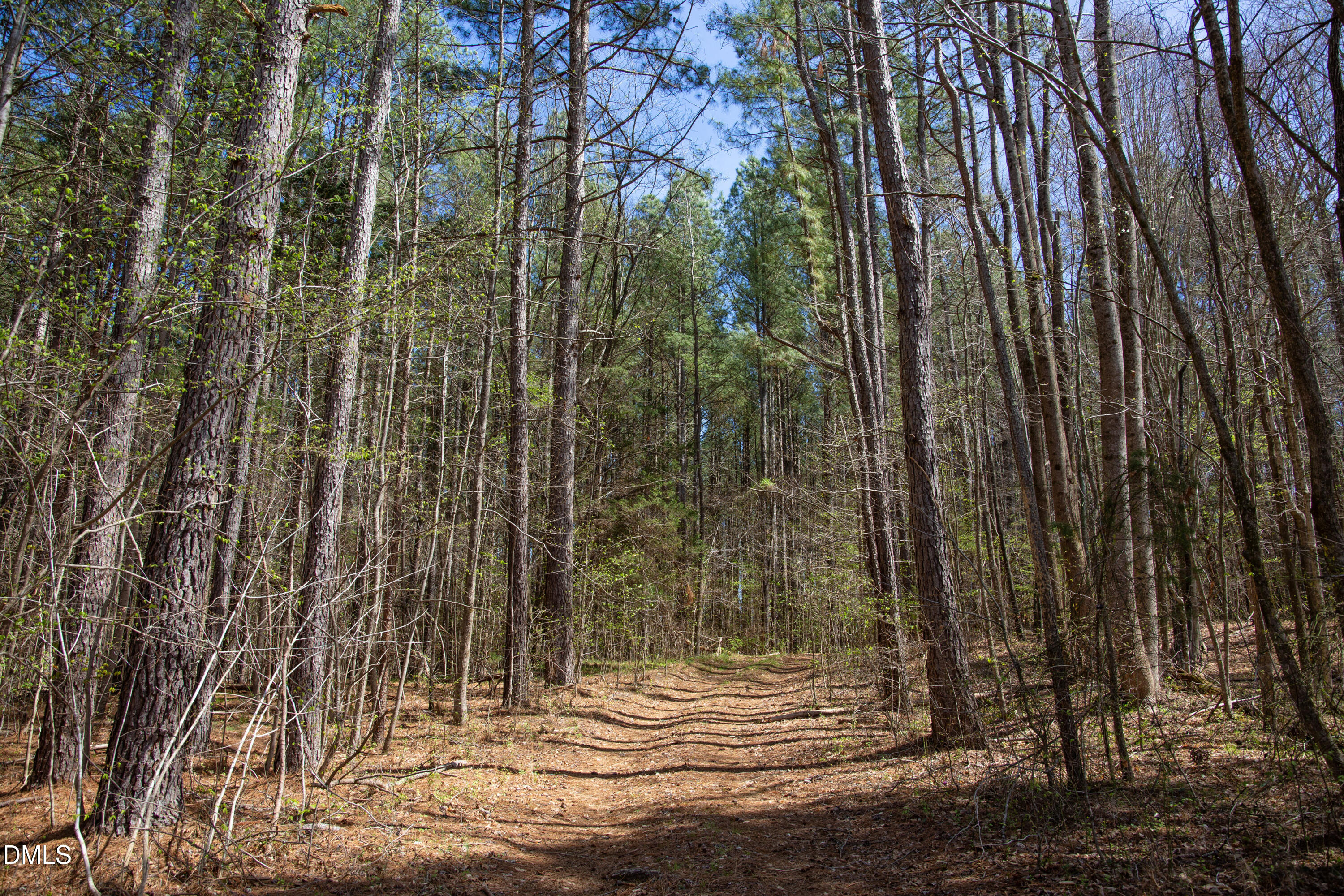 000 Doll Branch Road Property Photo 34