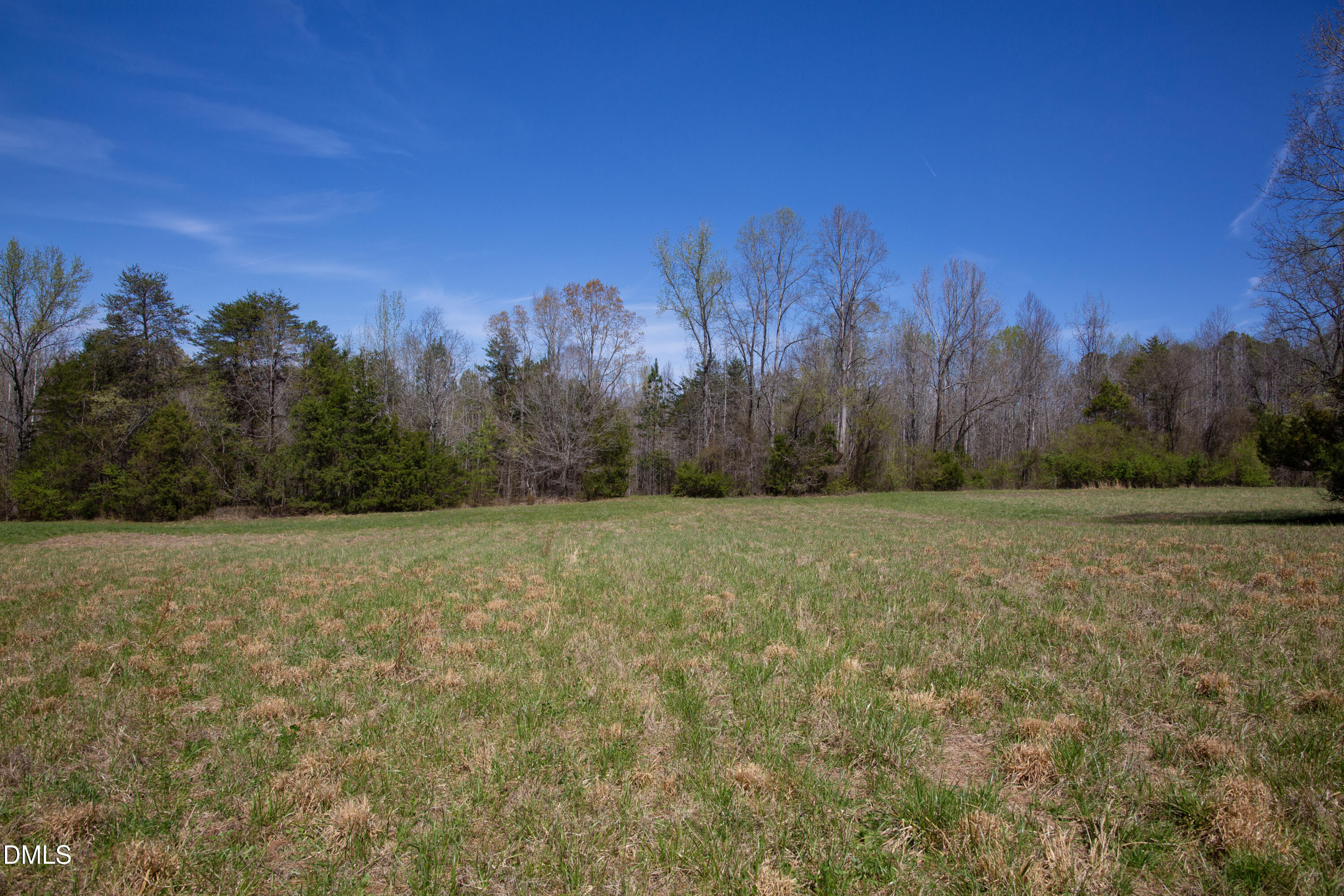 0 Doll Branch Road Property Photo 2