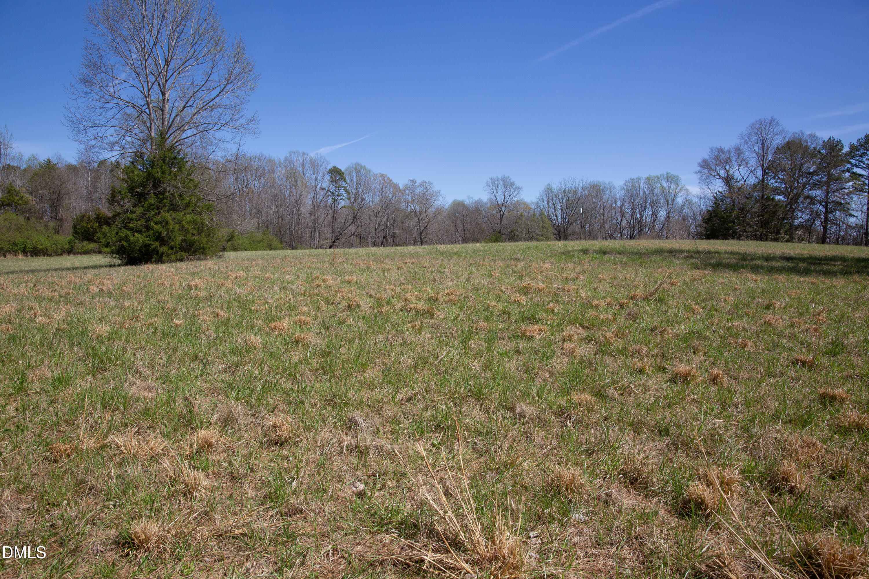 0 Doll Branch Road Property Photo 3