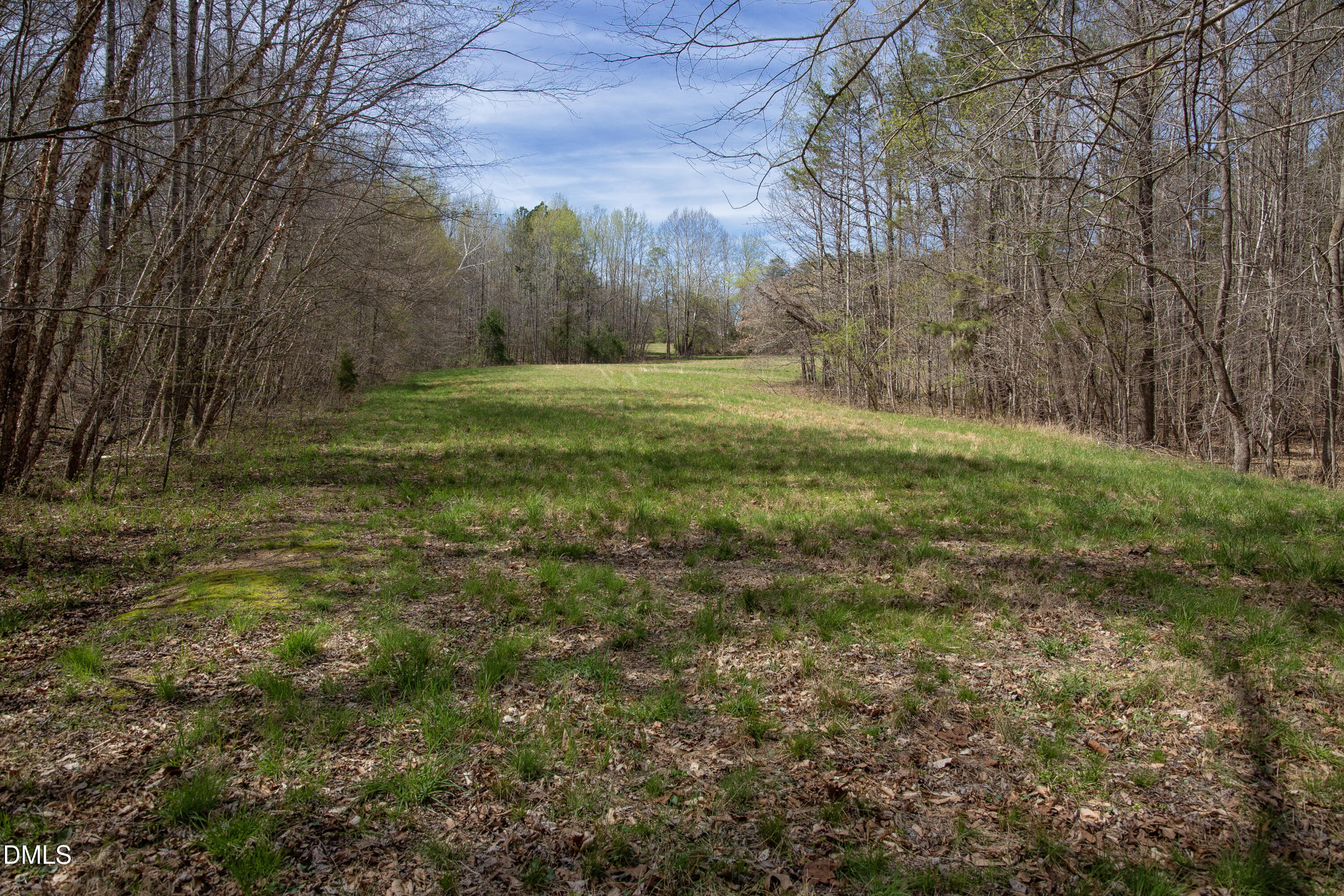 0 Doll Branch Road Property Photo 8