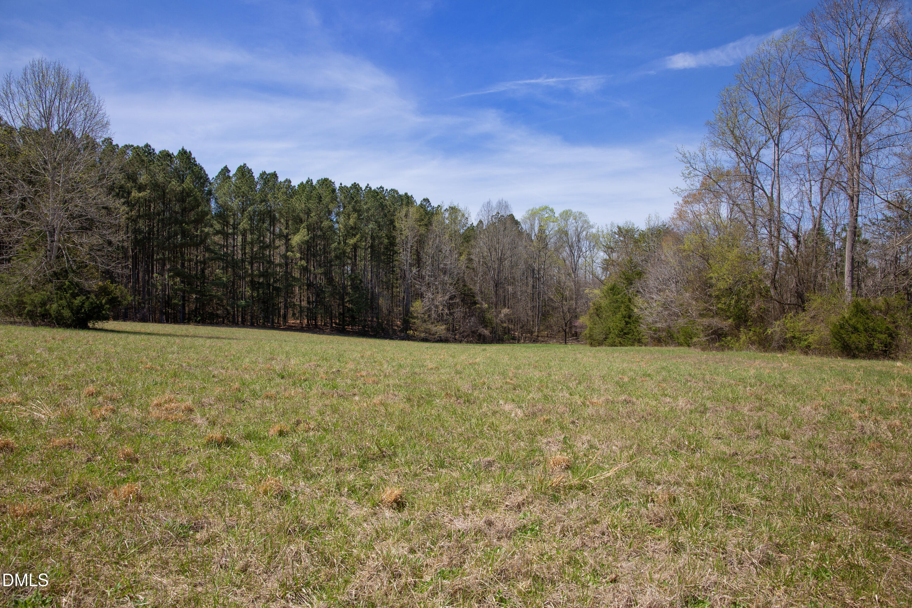 0 Doll Branch Road Property Photo 9
