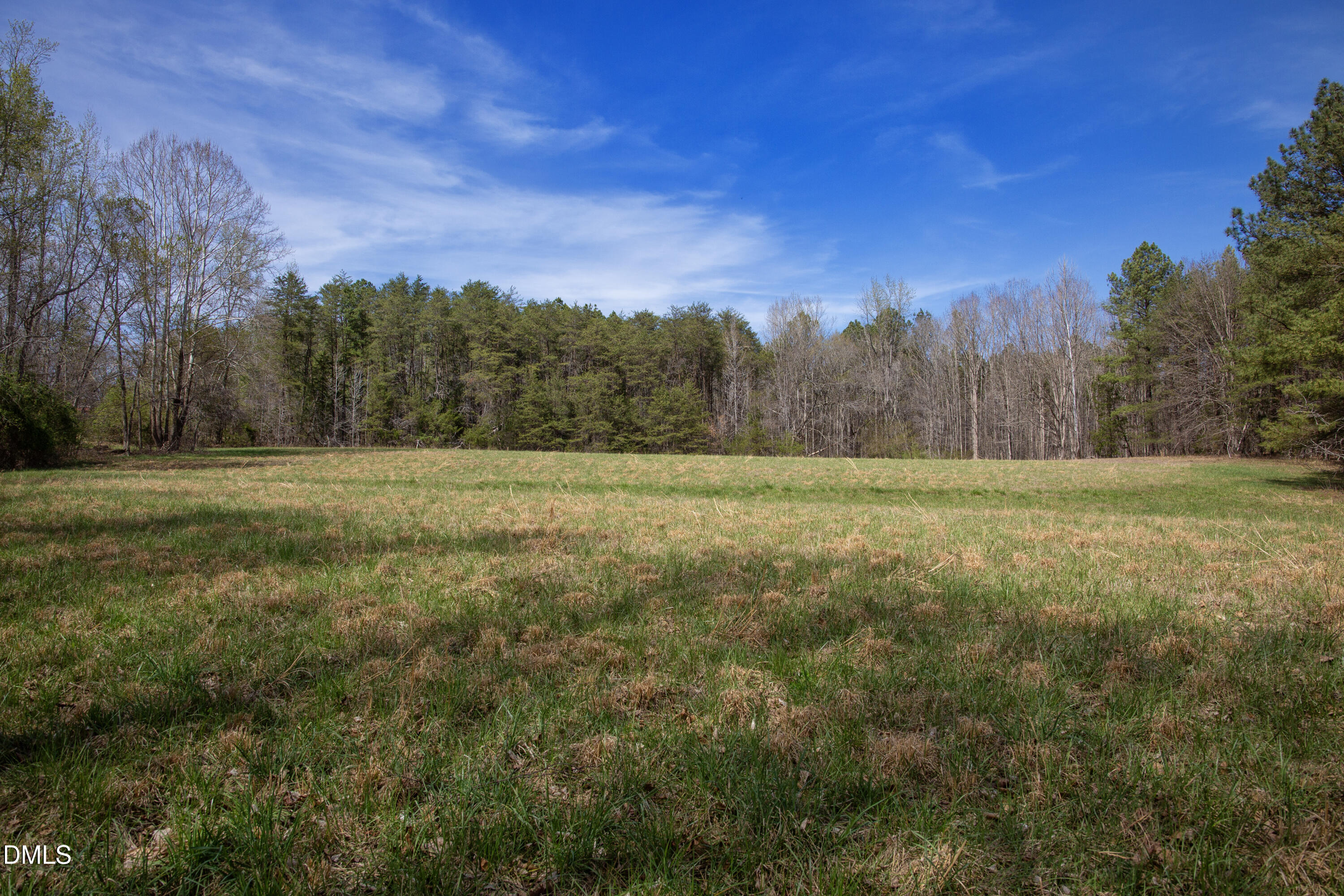 0 Doll Branch Road Property Photo 10