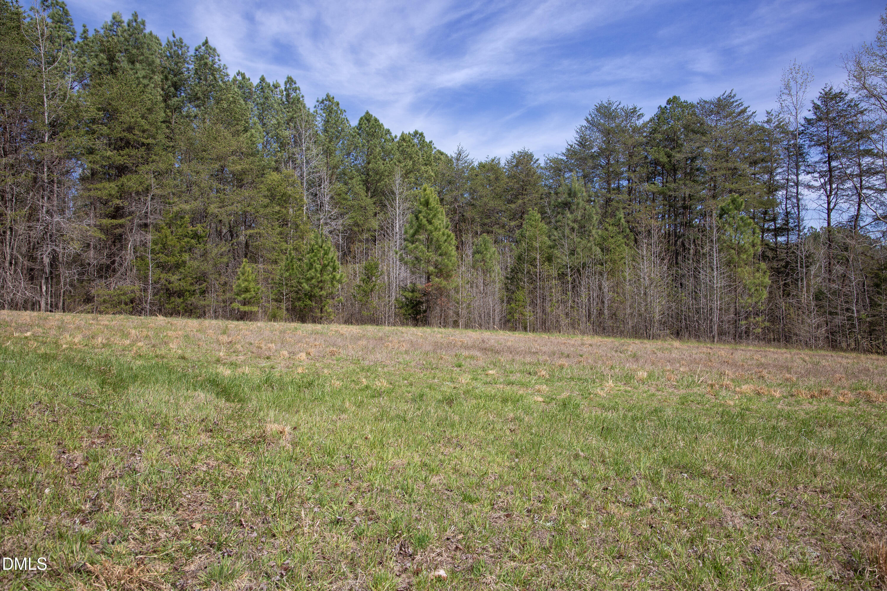 0 Doll Branch Road Property Photo 12