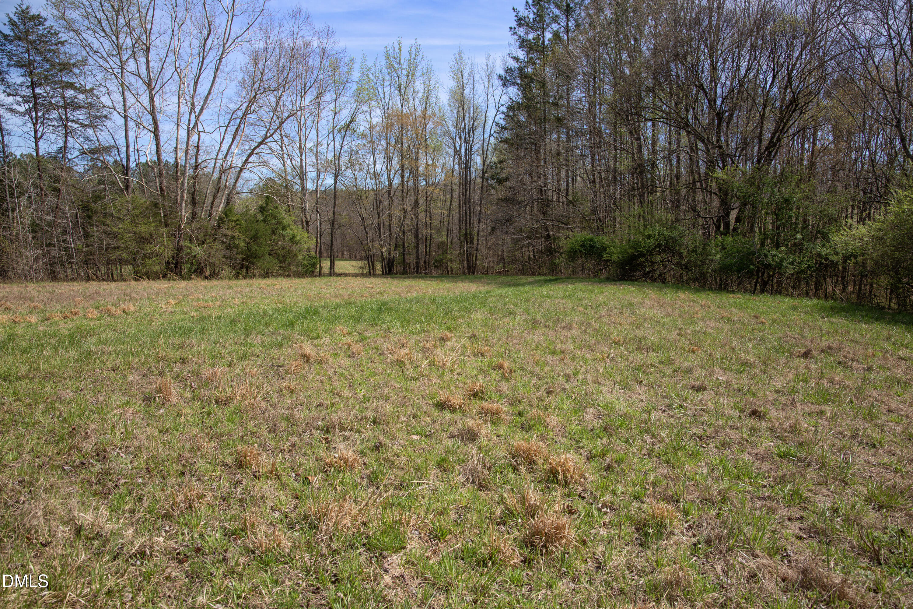 0 Doll Branch Road Property Photo 13