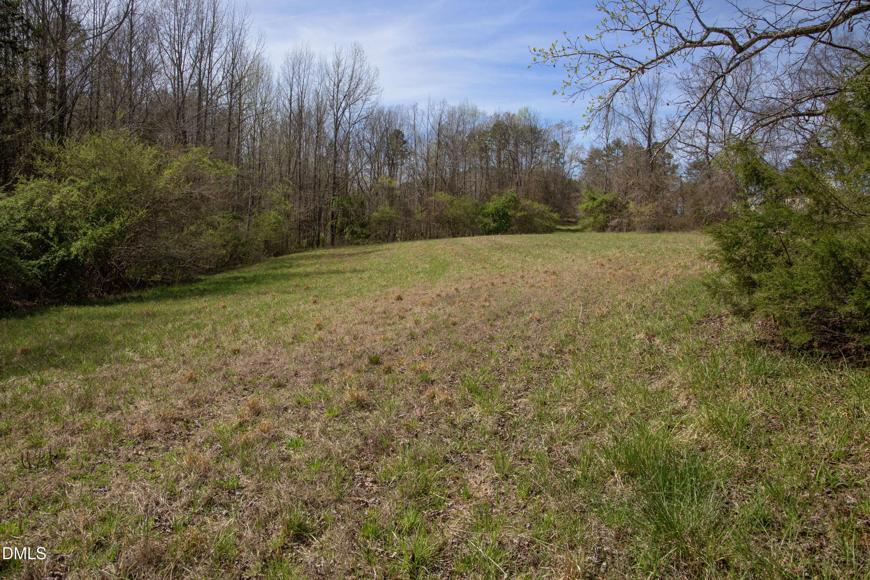 0 Doll Branch Road Property Photo 14