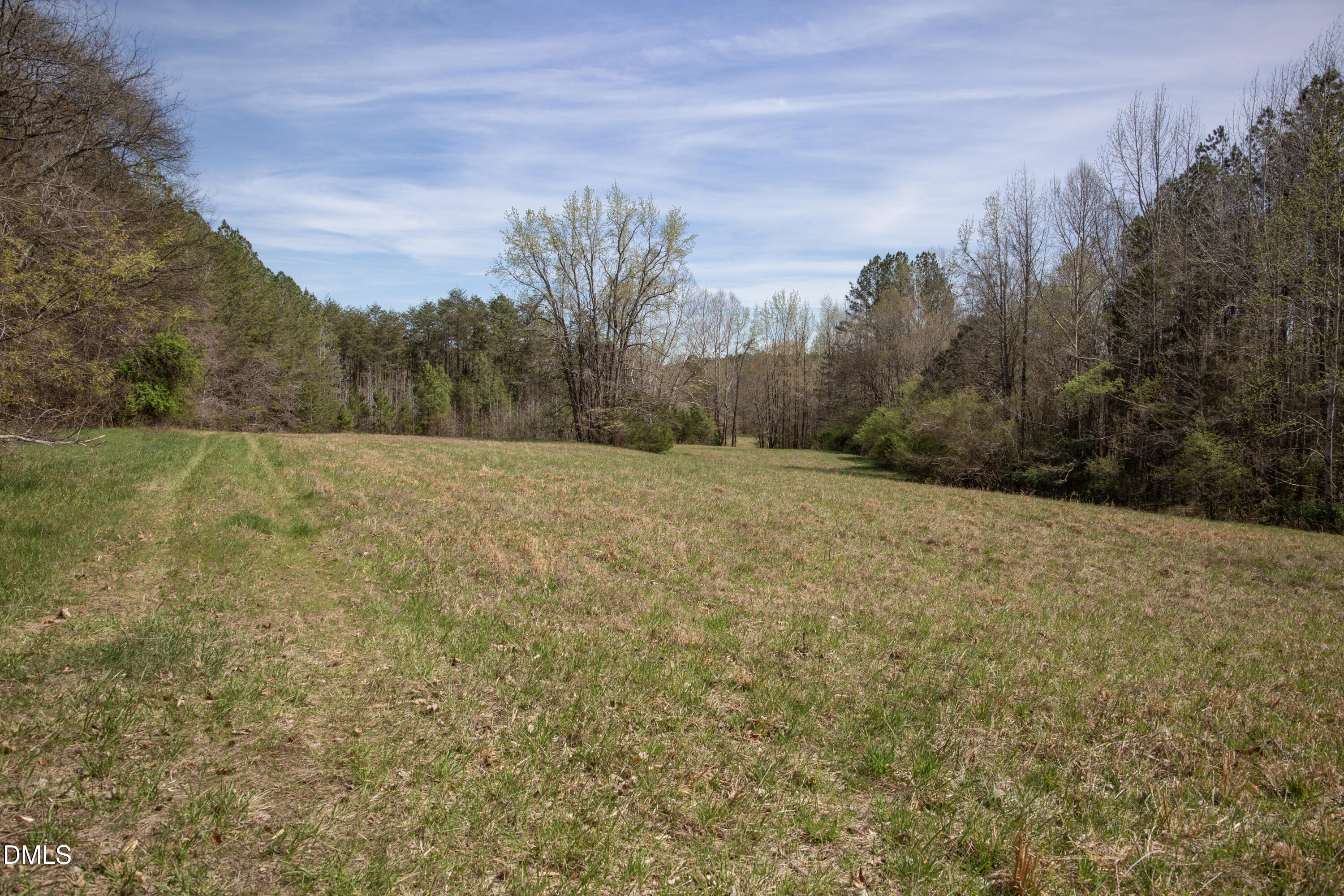 0 Doll Branch Road Property Photo 16
