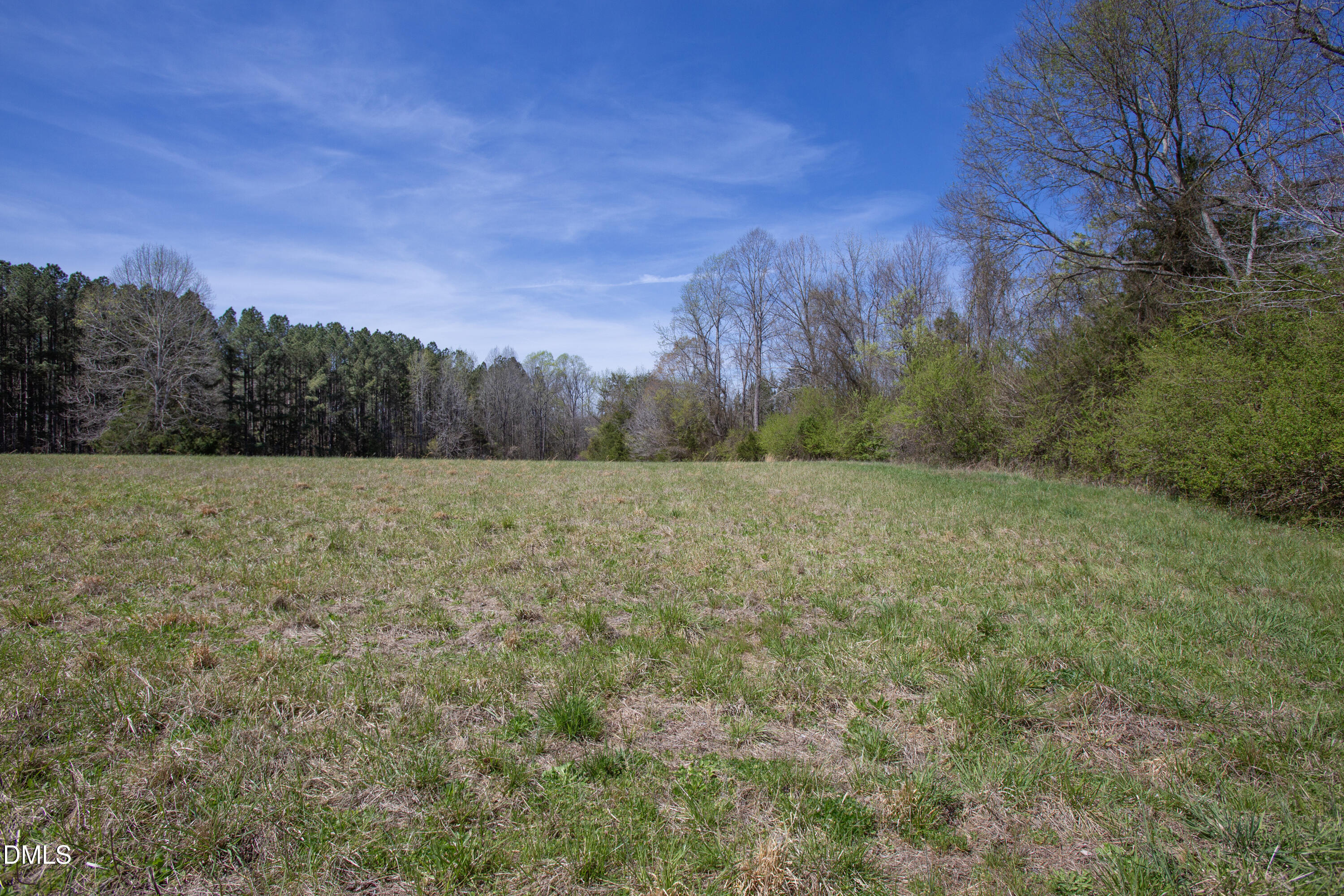 0 Doll Branch Road Property Photo 20
