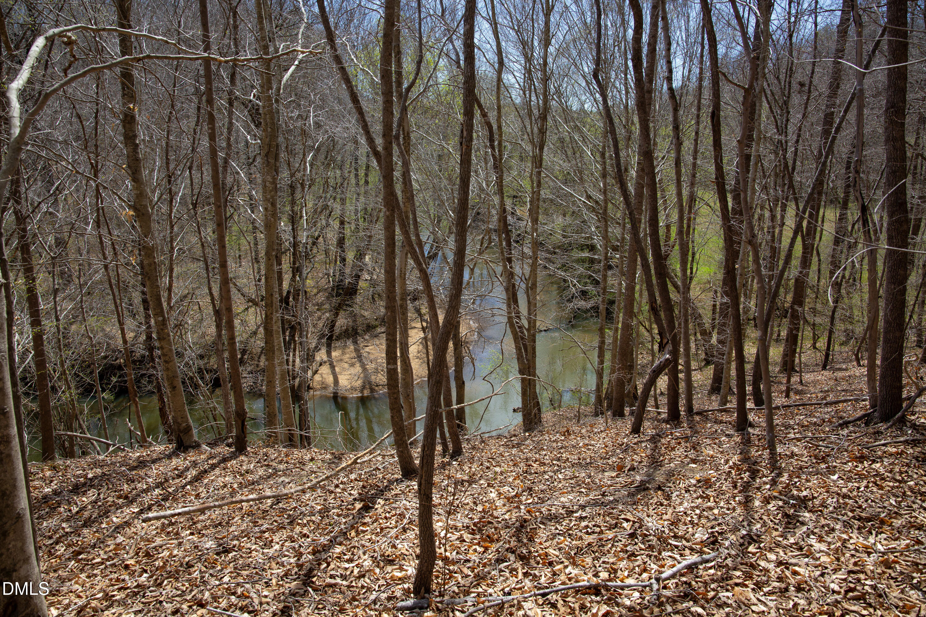 0 Doll Branch Road Property Photo 22