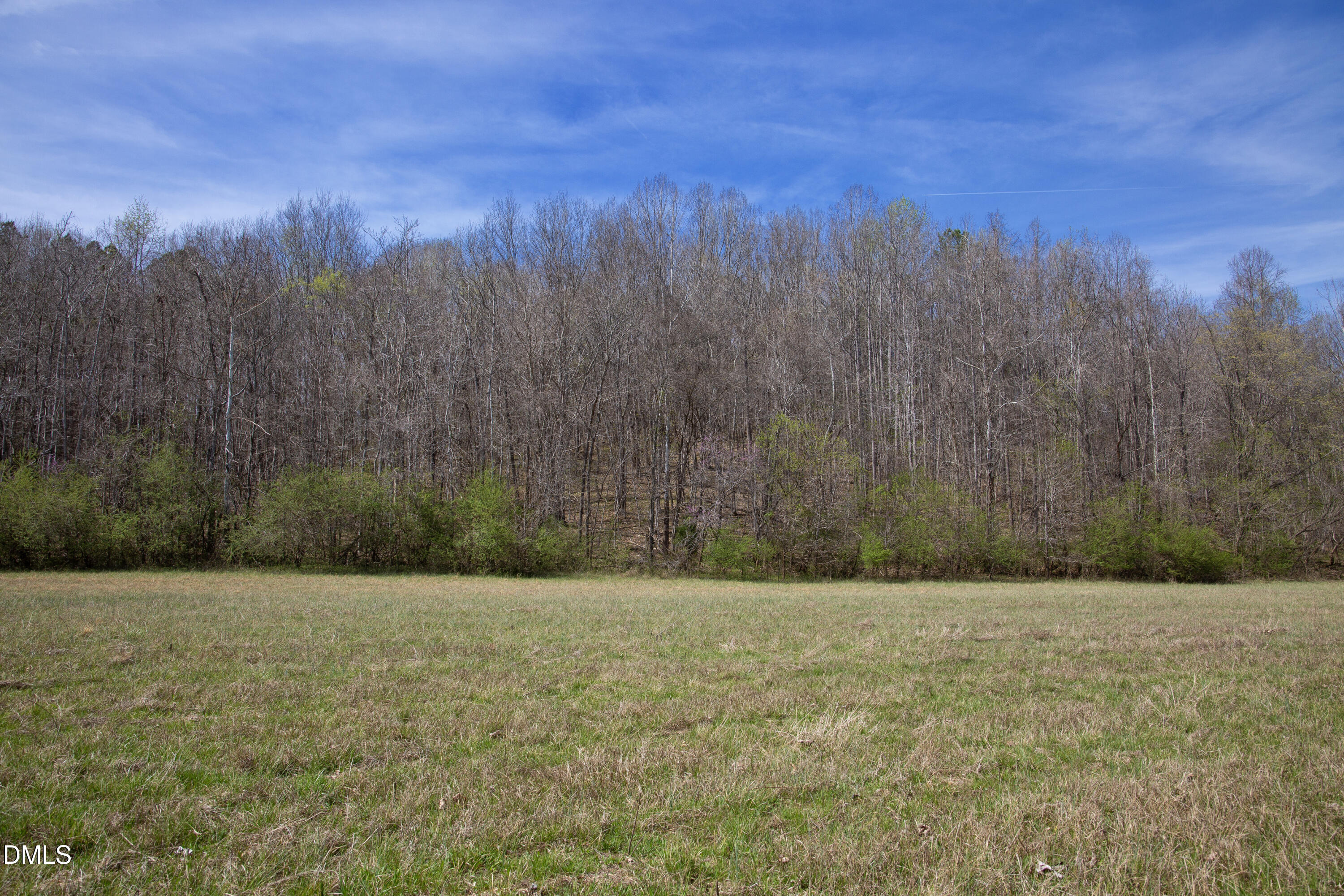 0 Doll Branch Road Property Photo 25