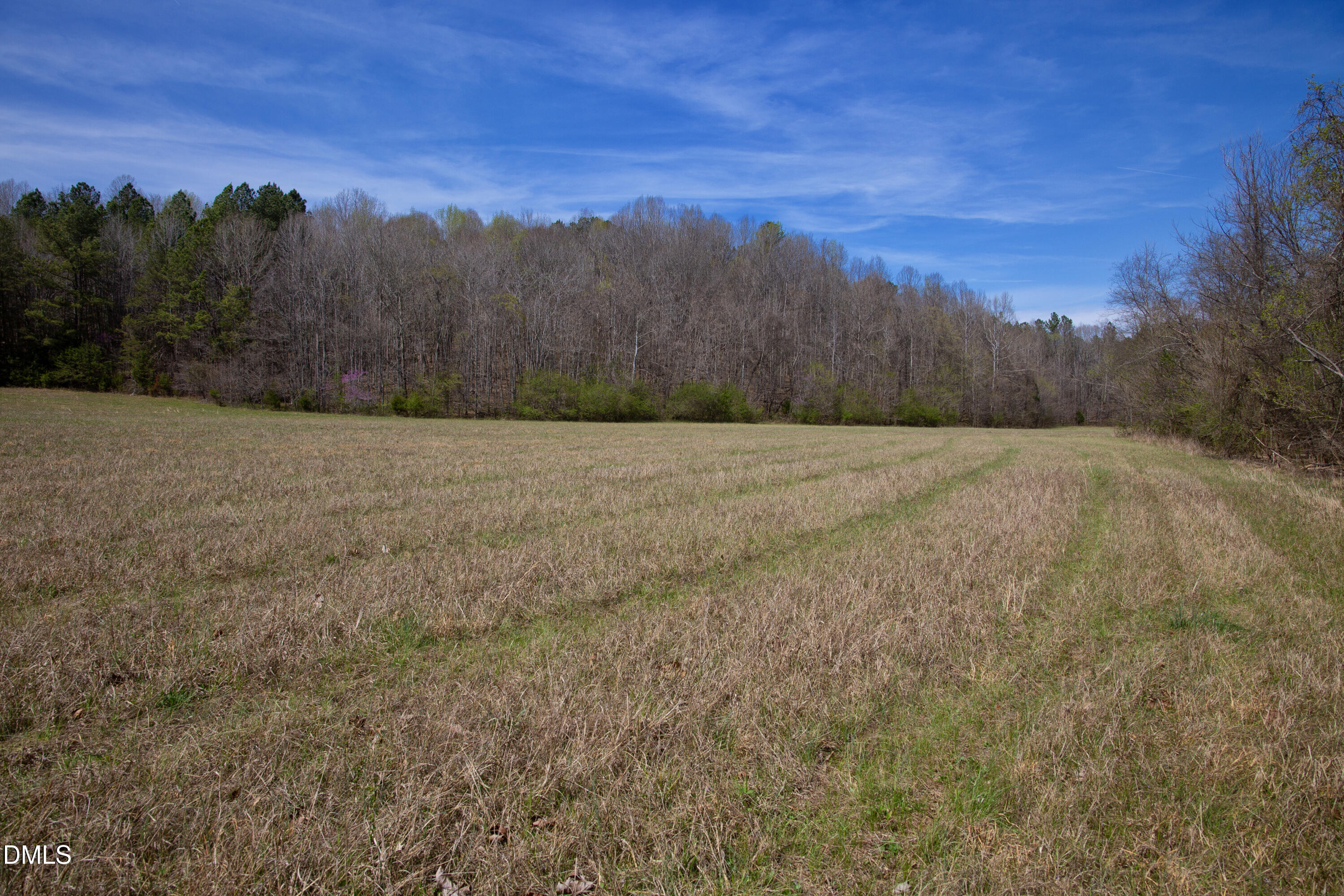 0 Doll Branch Road Property Photo 26