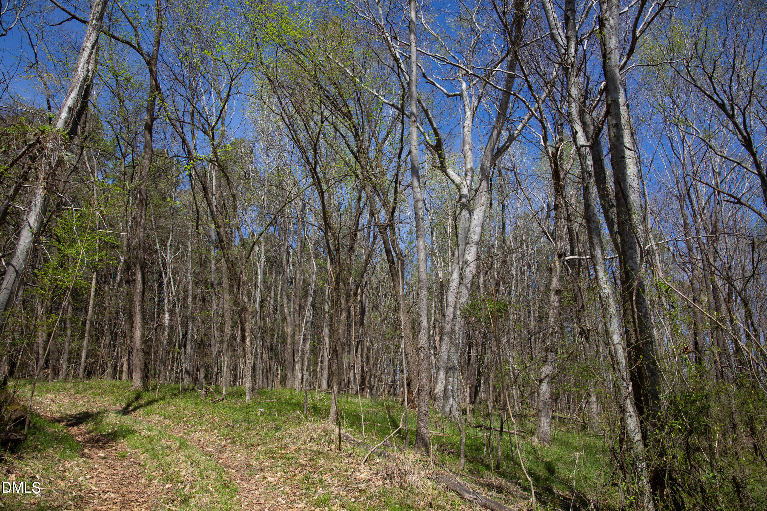 0 Doll Branch Road Property Photo 36