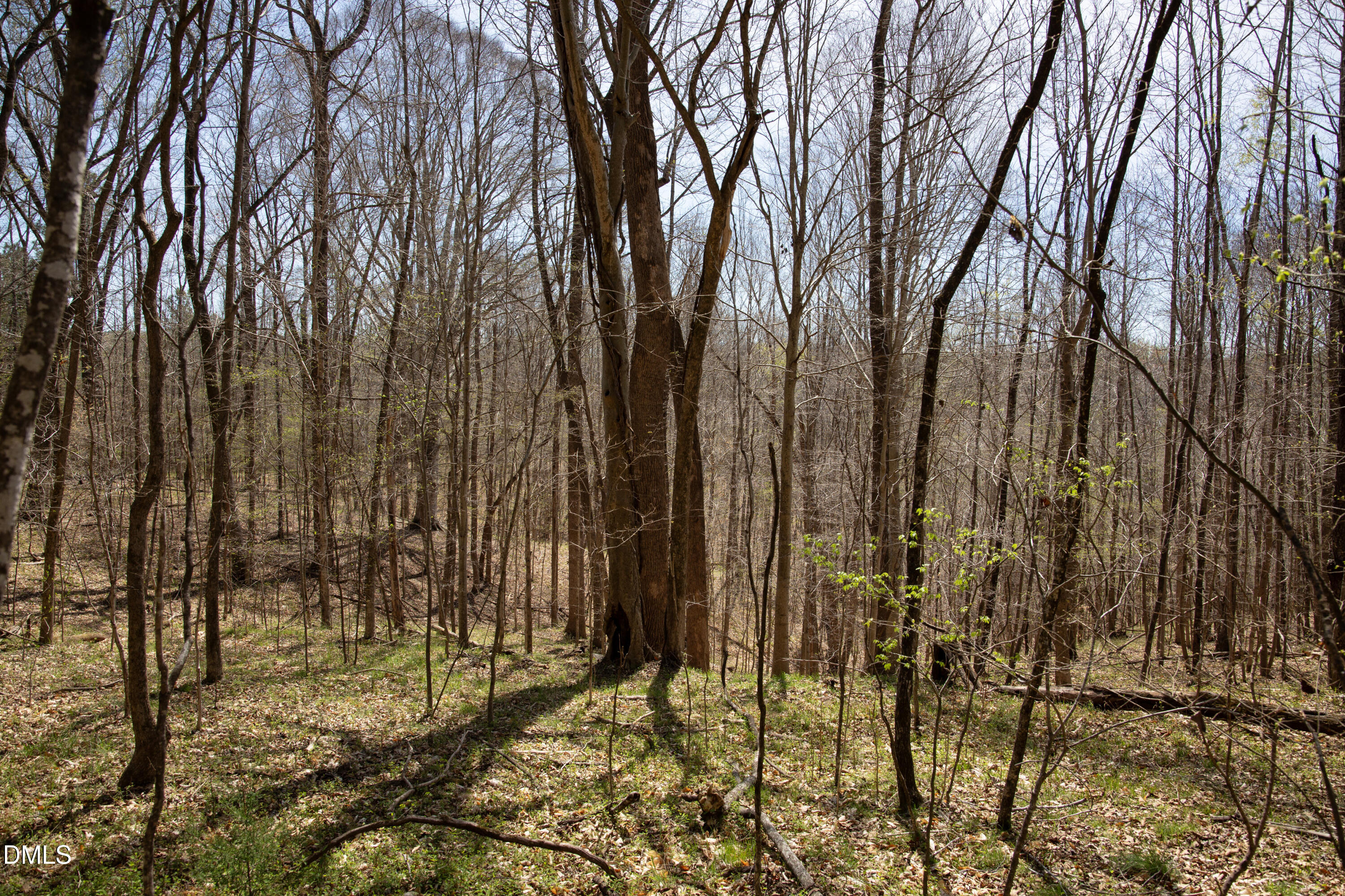 0 Doll Branch Road Property Photo 37