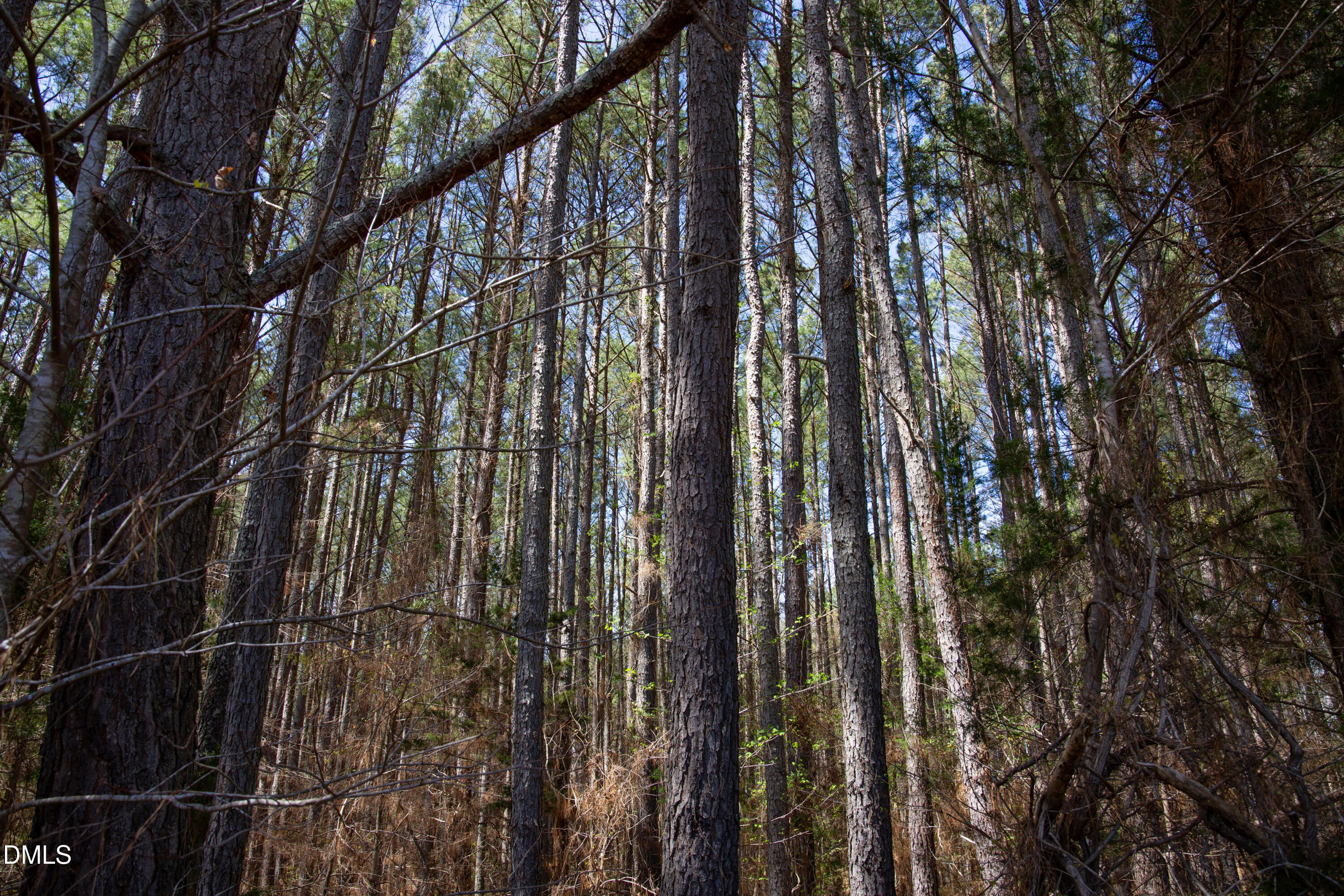 0 Doll Branch Road Property Photo 38