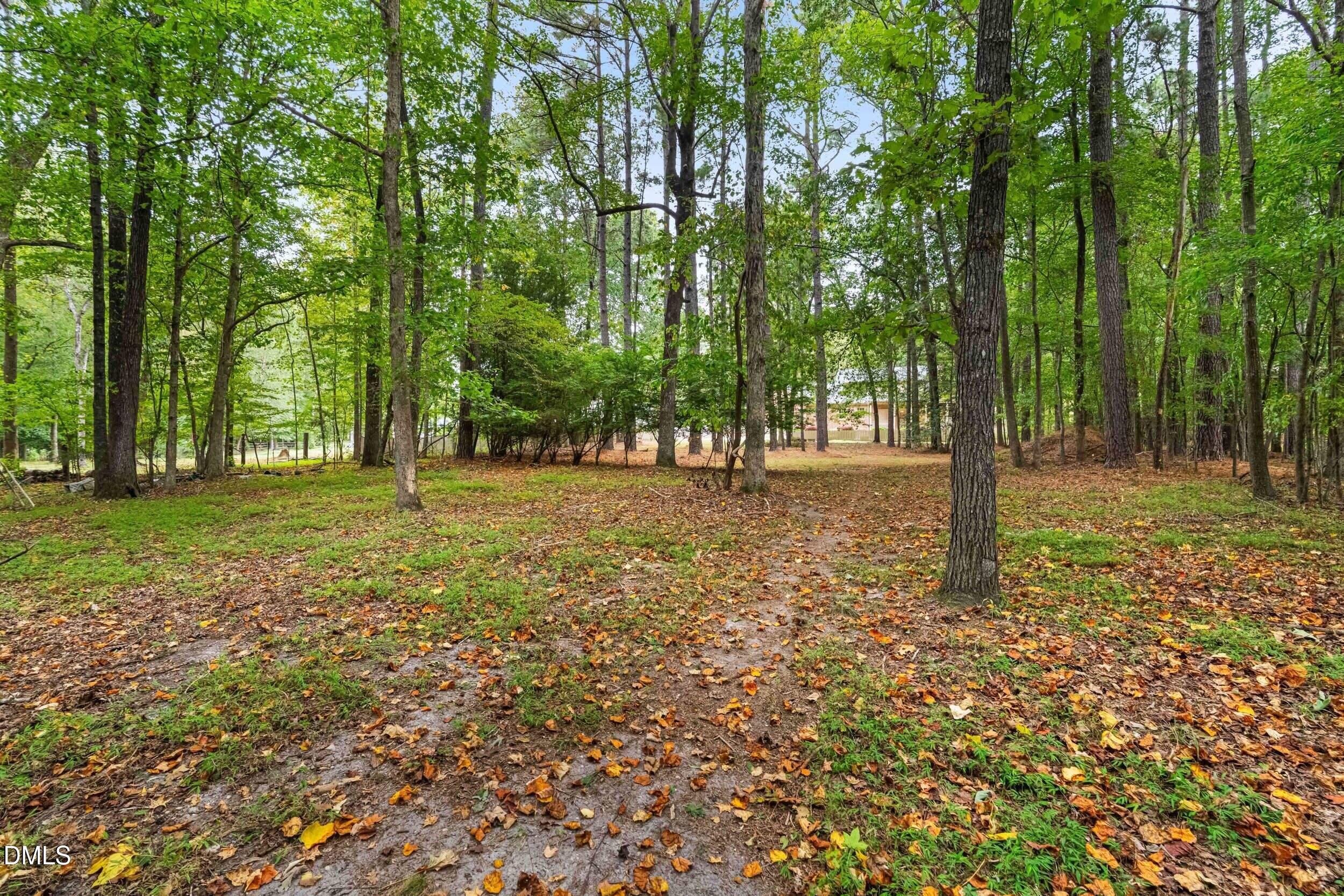 1015 Mulberry Road Property Photo 35