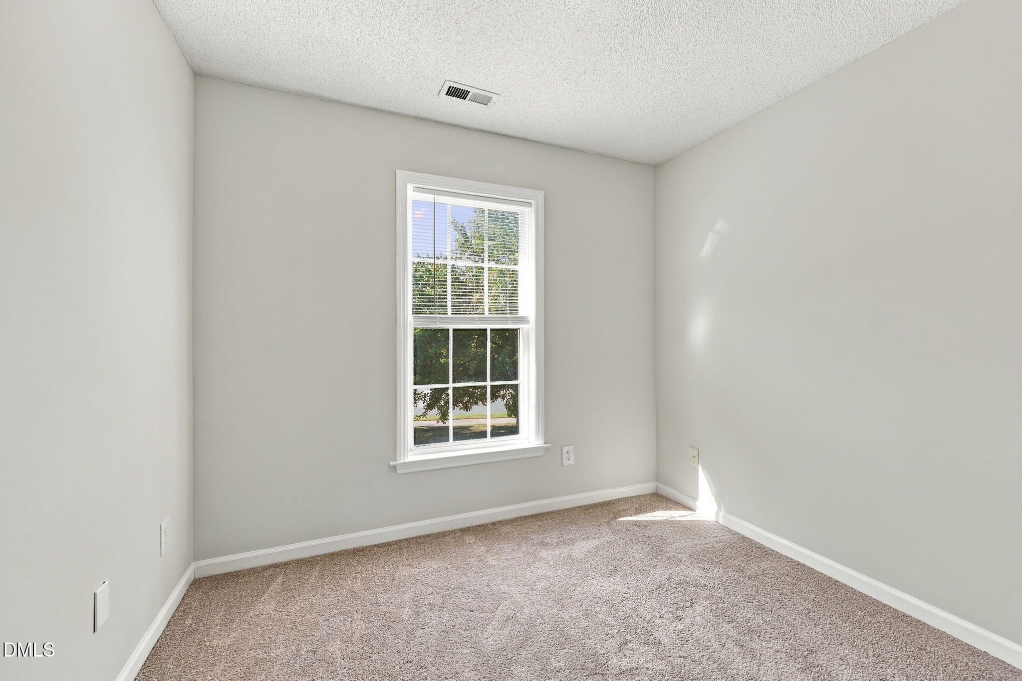 5205 Tanglewood Creek Court Property Photo 19