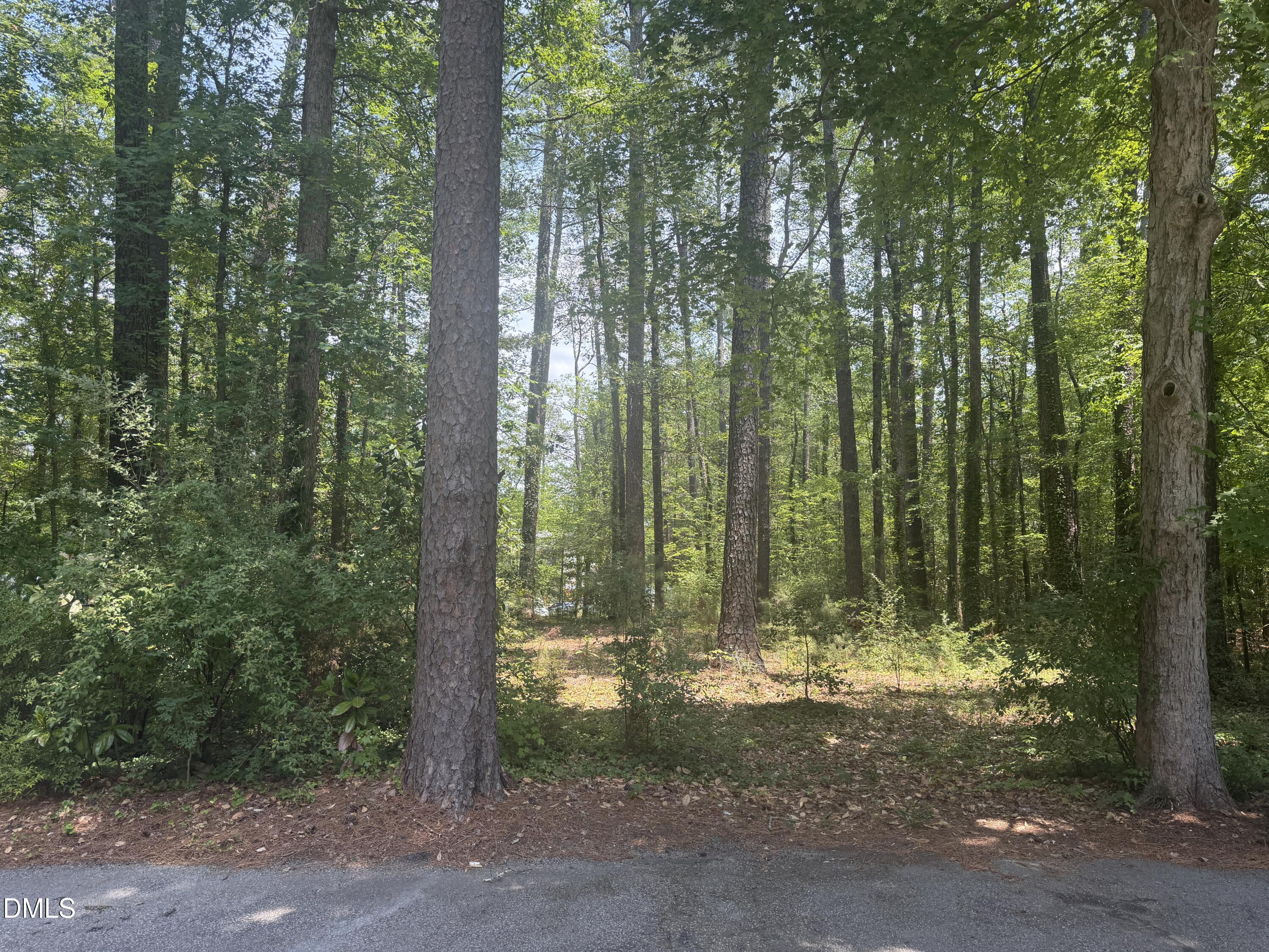 3725 Hope Valley Road Property Photo 39