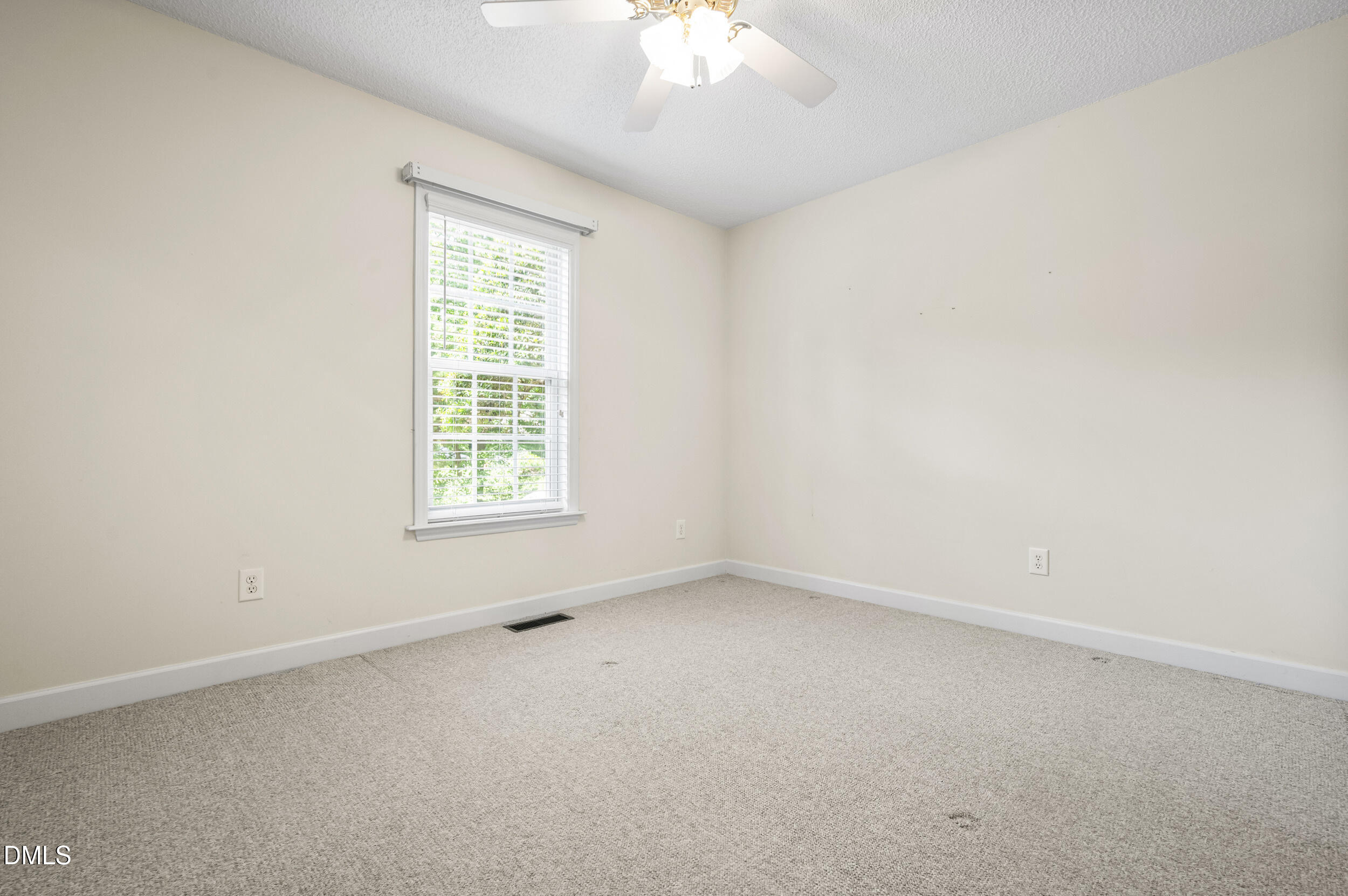 114 Skipping Stone Drive Property Photo 25