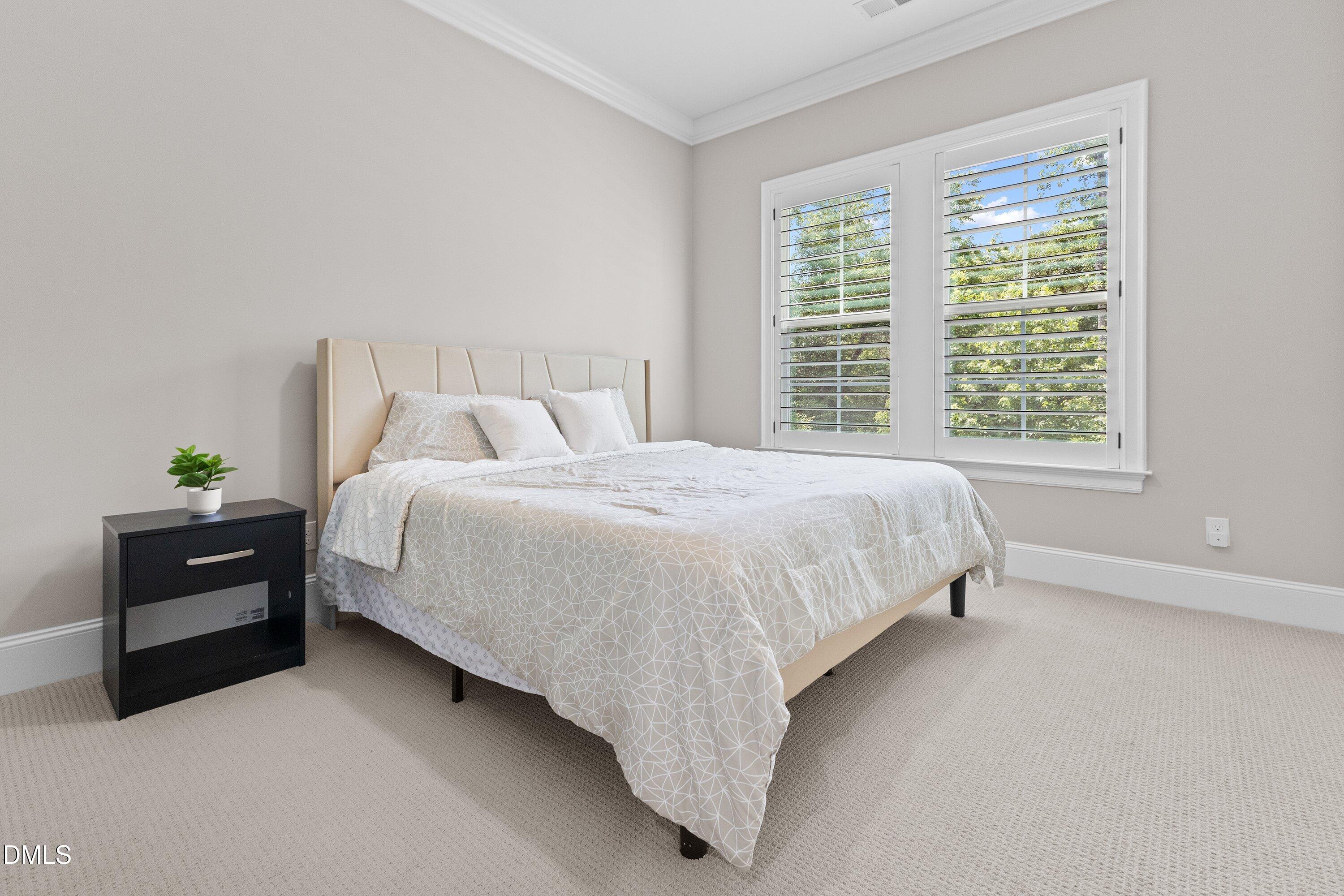 301 Mystic Quartz Lane Property Photo 46