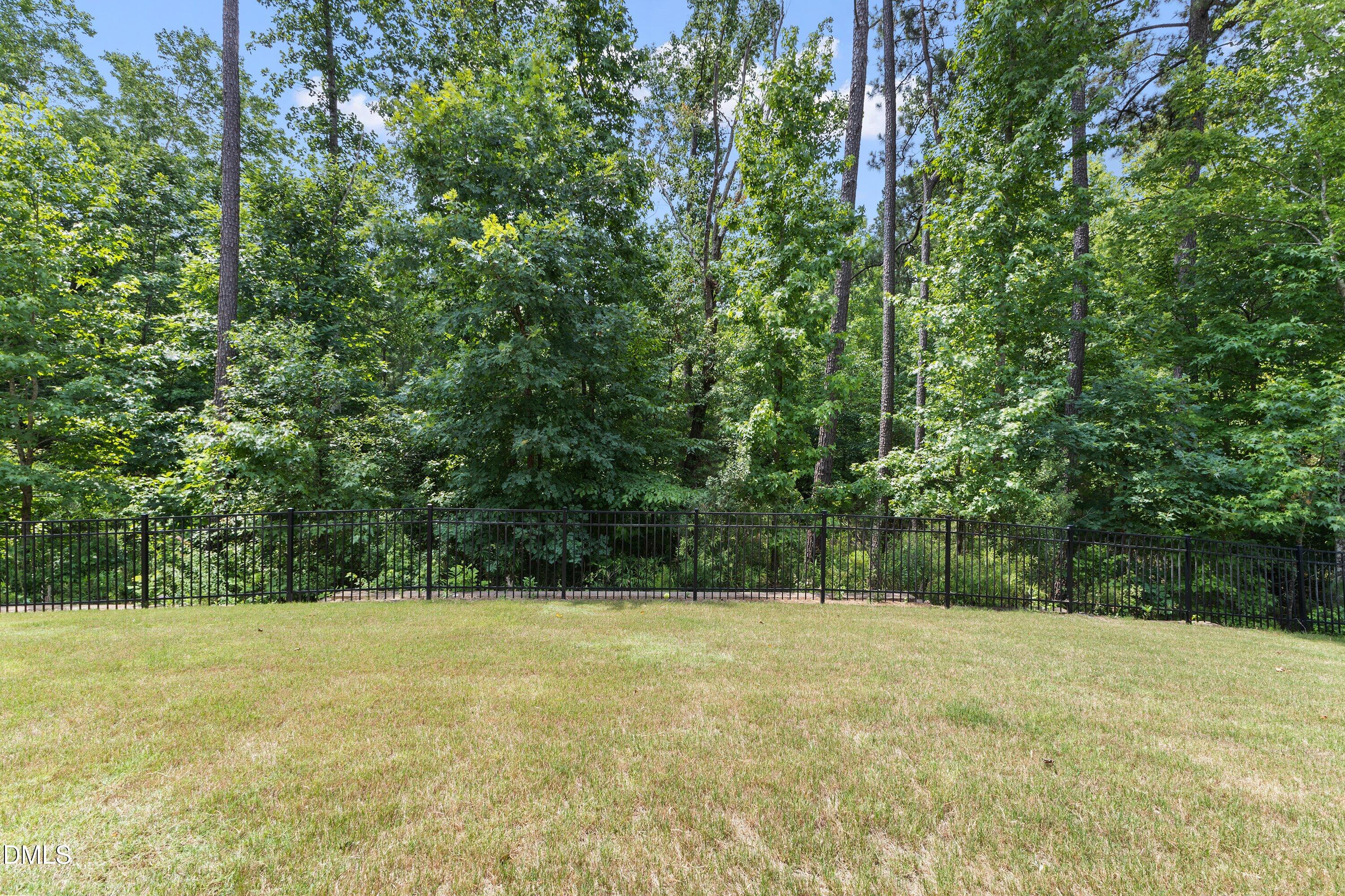 301 Mystic Quartz Lane Property Photo 81