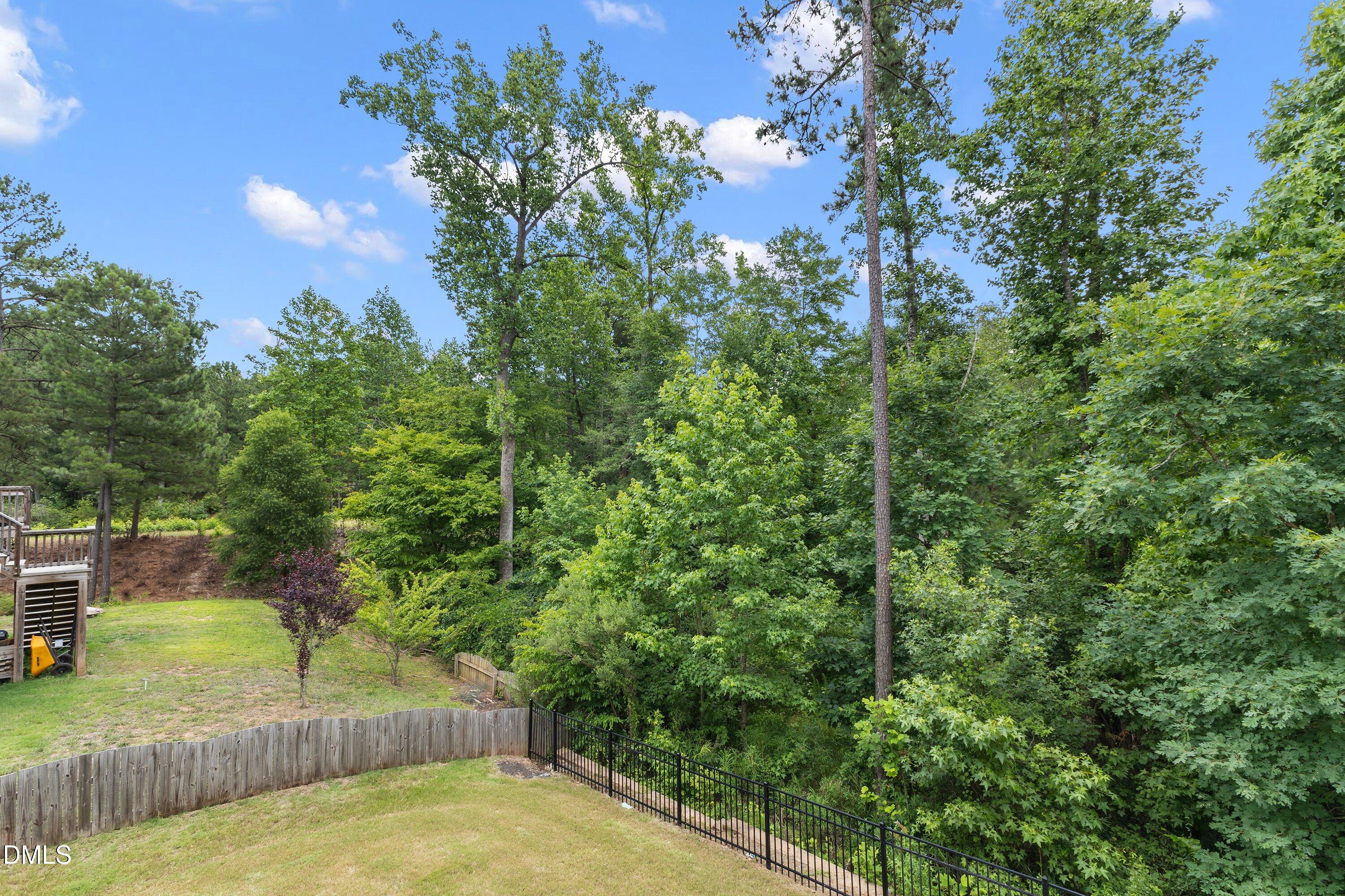 301 Mystic Quartz Lane Property Photo 82