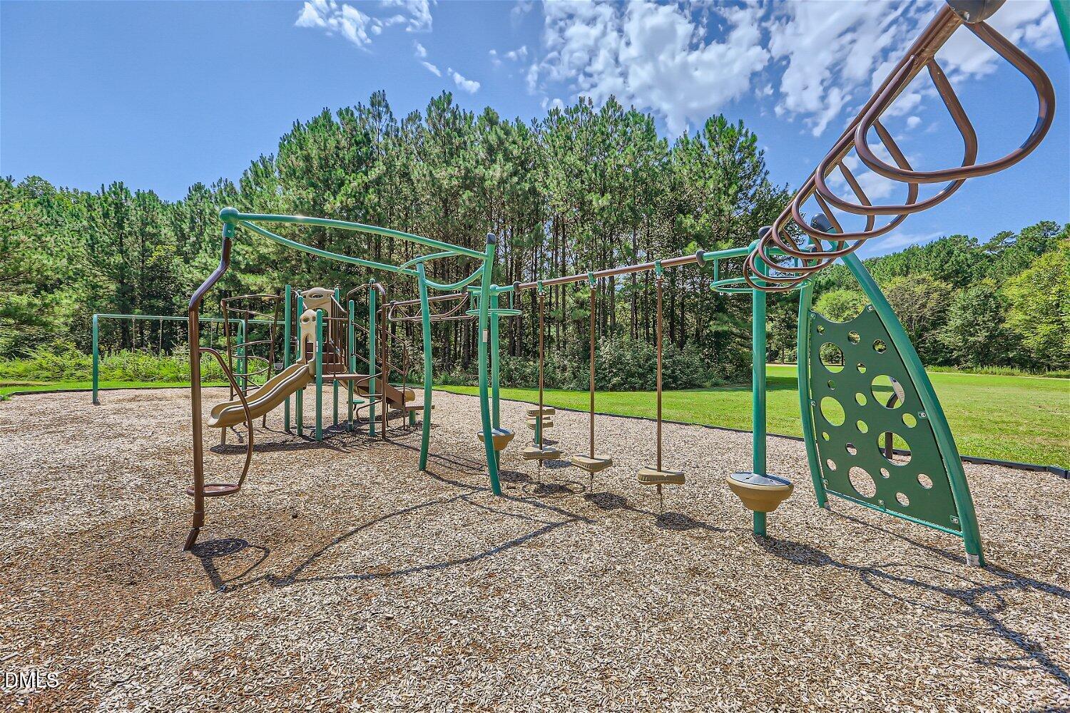 1800 Lily Bloom Way Property Photo 41