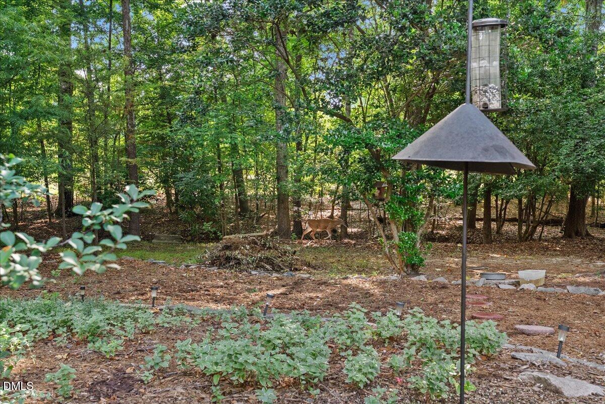 5100 Bambi Court Property Photo 47
