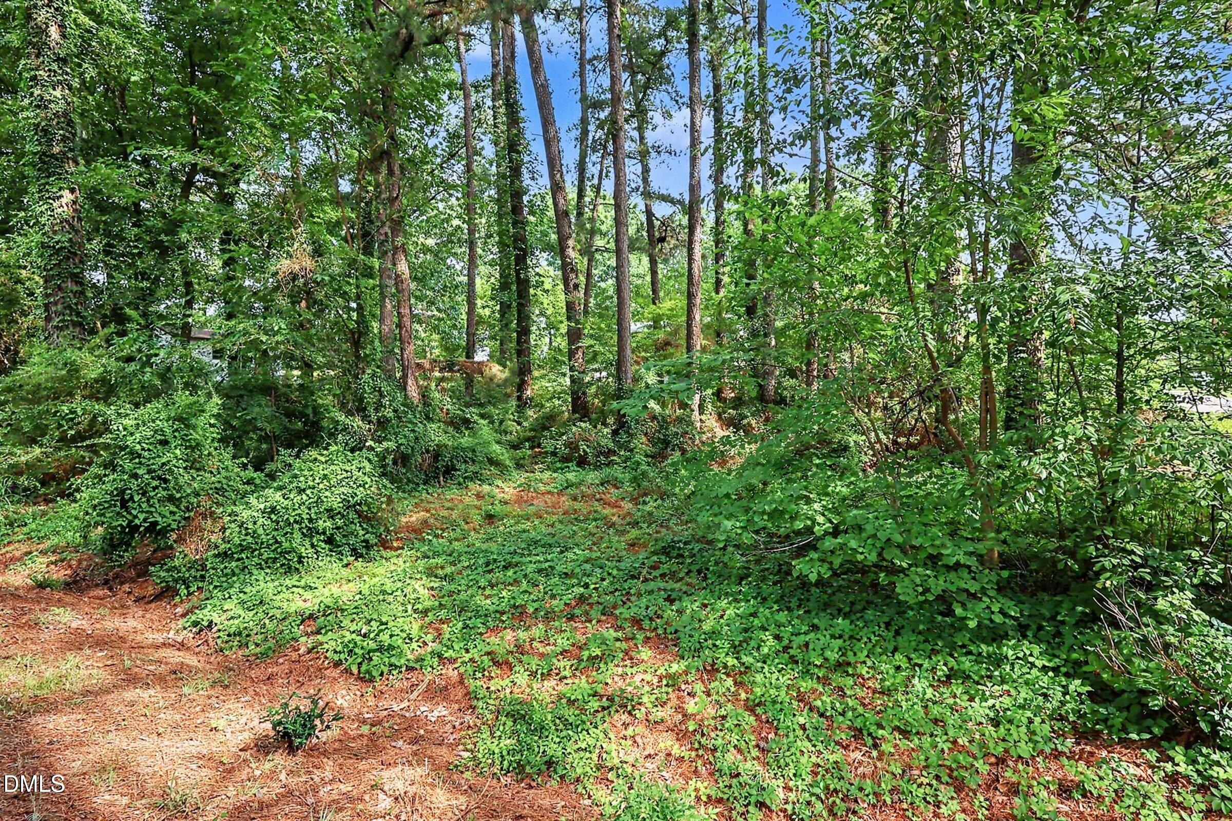 1813 Pinedale Drive Property Photo 13