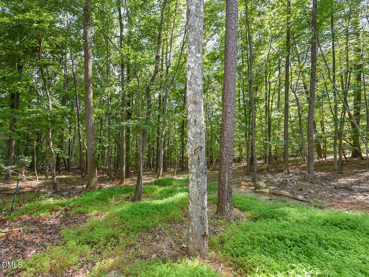 6782 Calais Drive Property Photo 33
