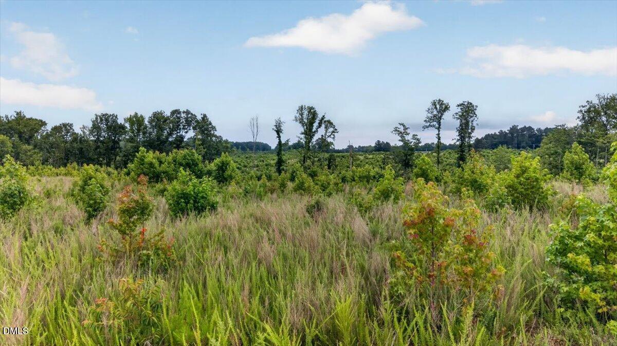 B3-65-73 Burchette Road Property Photo 19