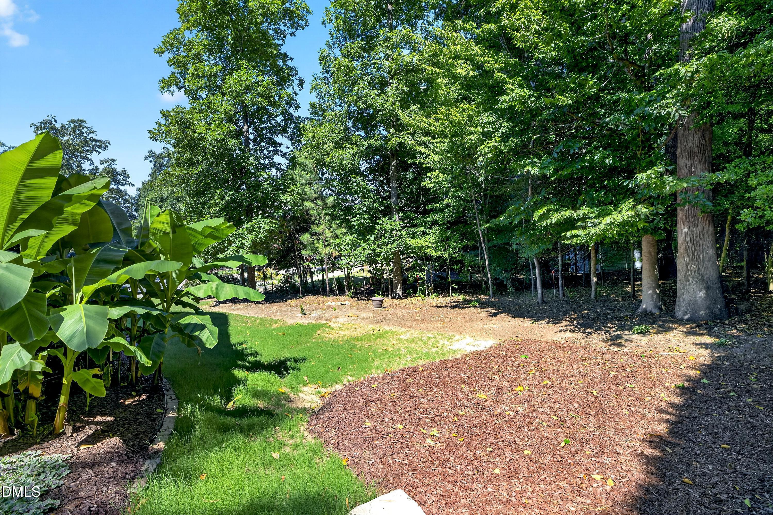 3107 Virginia Pine Lane Property Photo 41