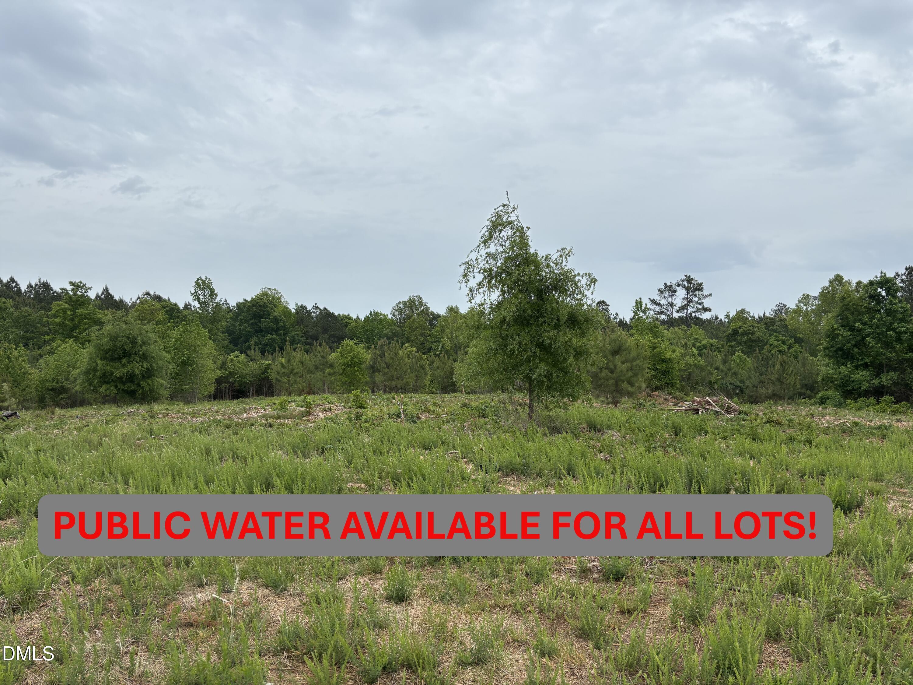 0 Burchette Road Lot 1 Property Photo 1