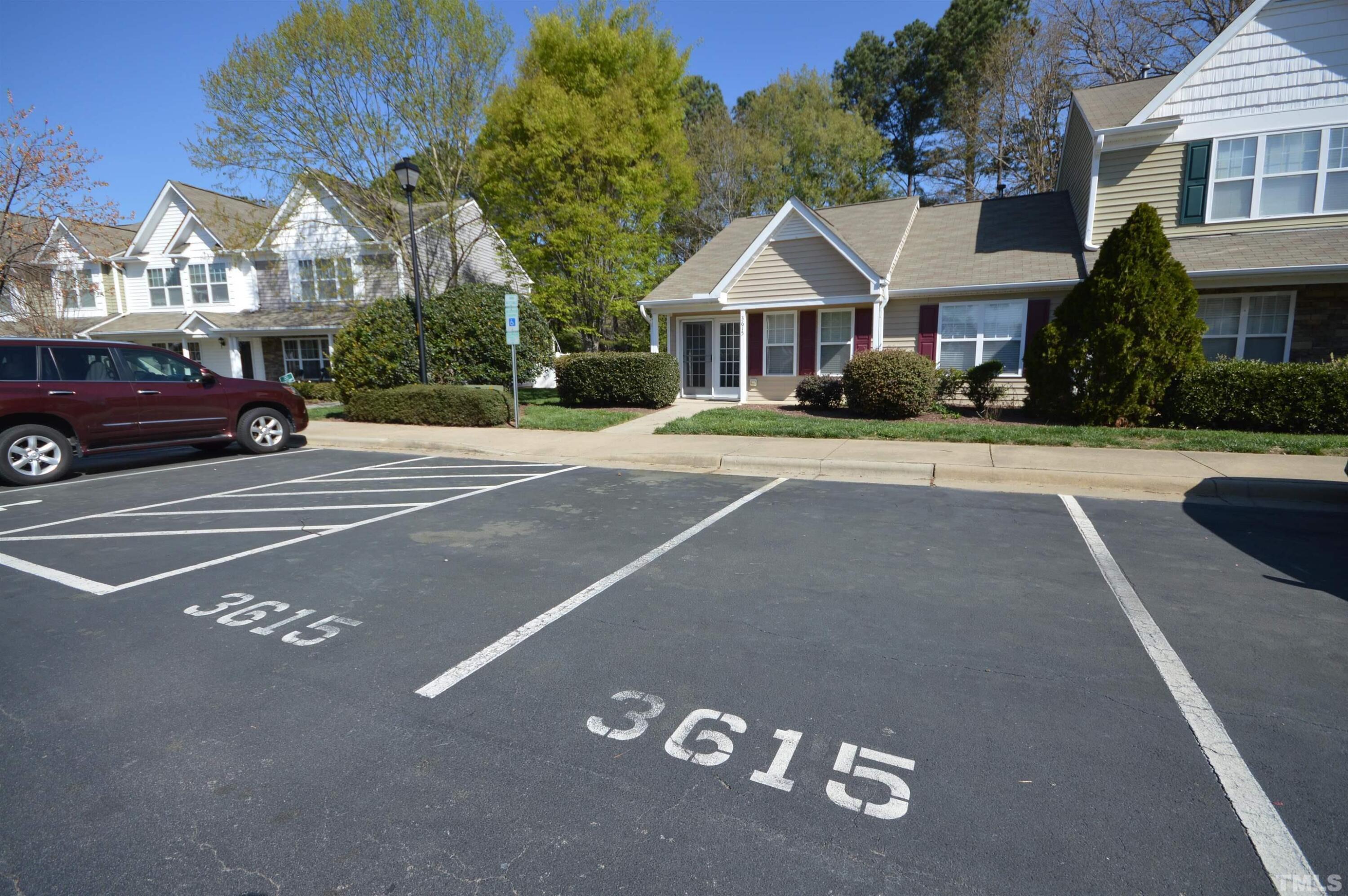 3615 Bison Hill Lane Property Photo 4