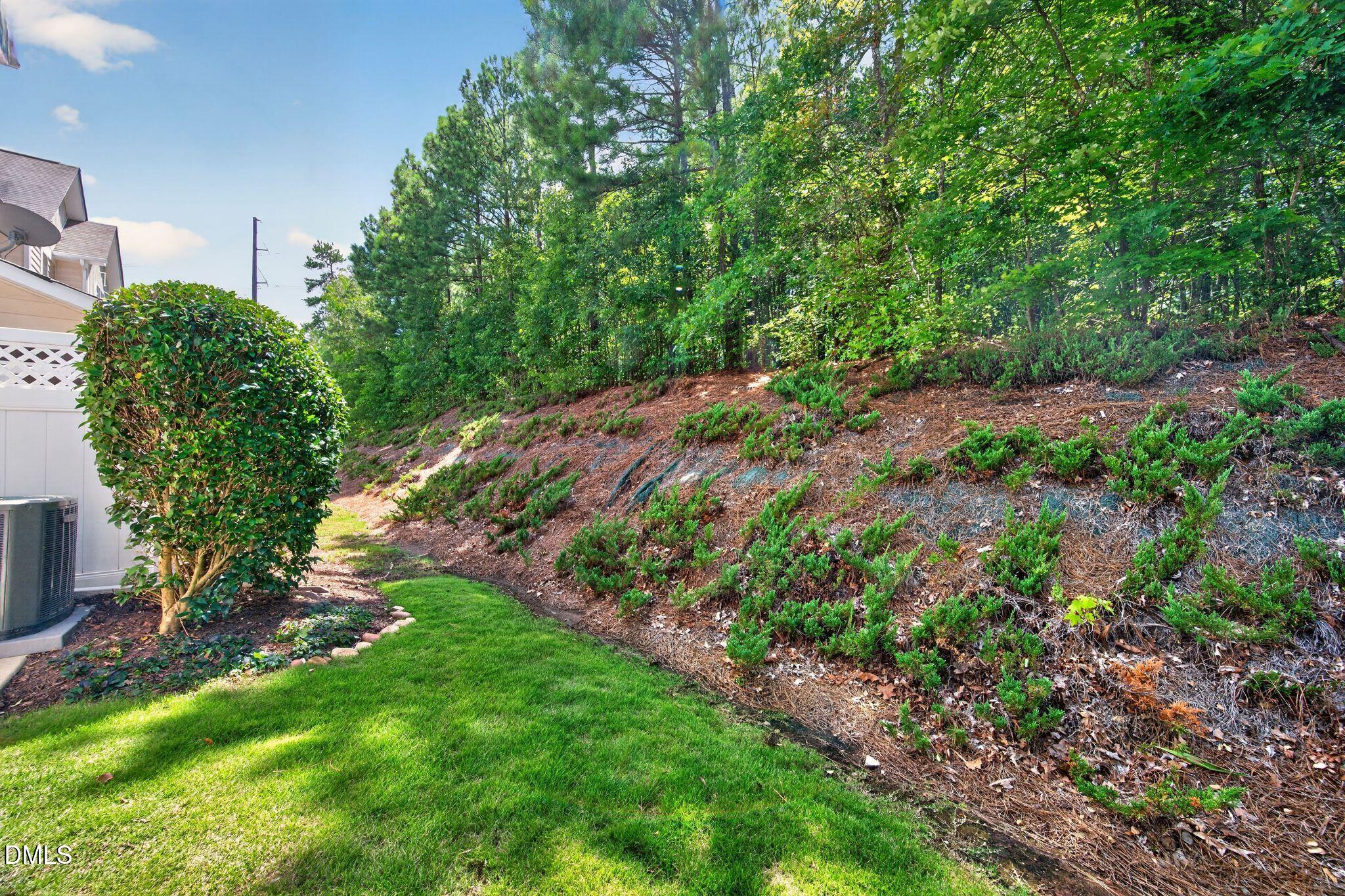 407 Stockton Gorge Road Property Photo 13