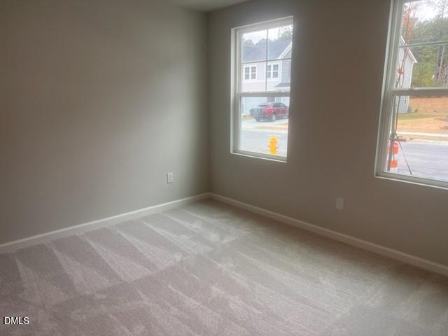 192 Aster Bloom Lane Property Photo 11