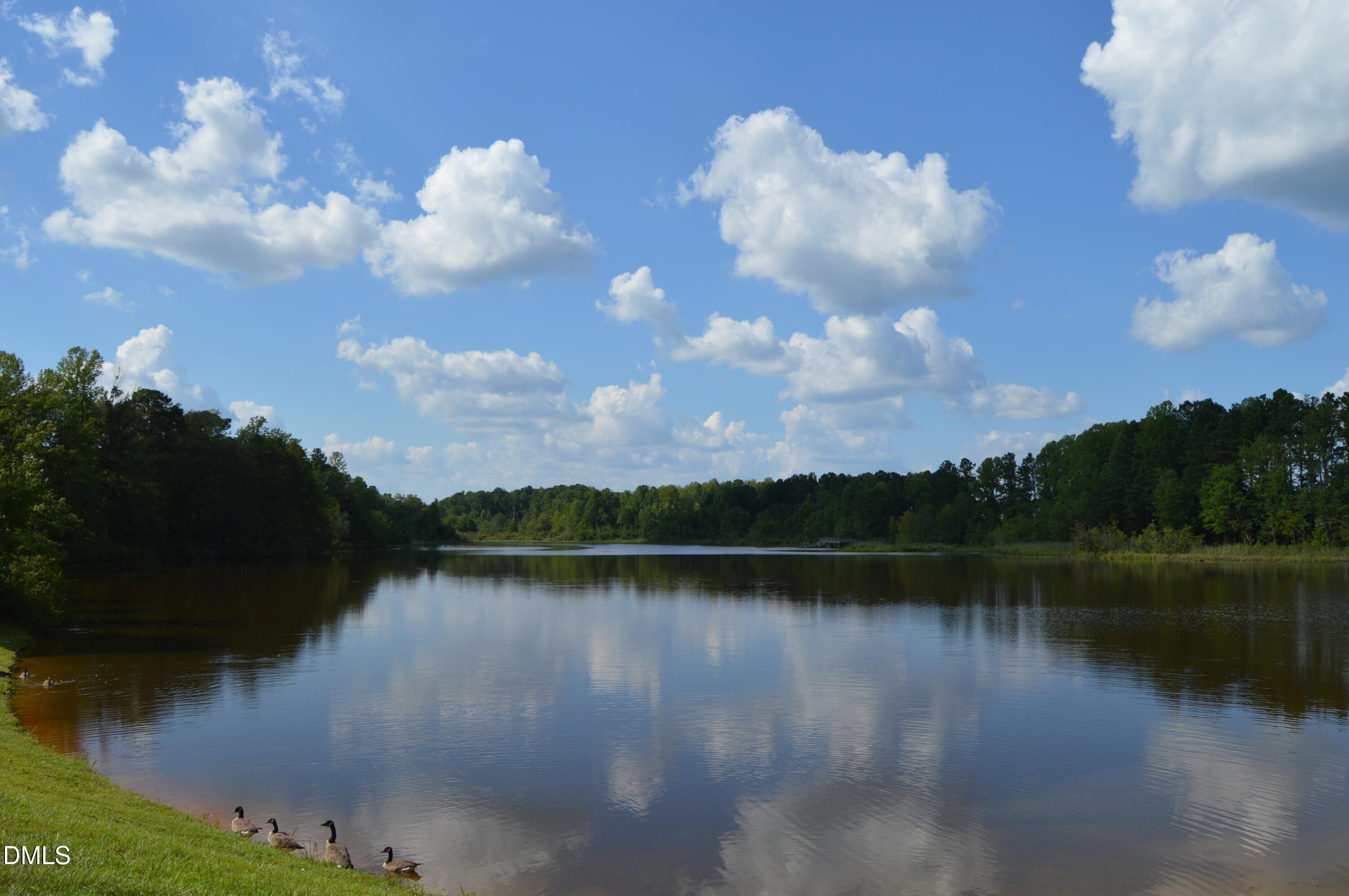 523 Catfish Lake Drive Property Photo 51