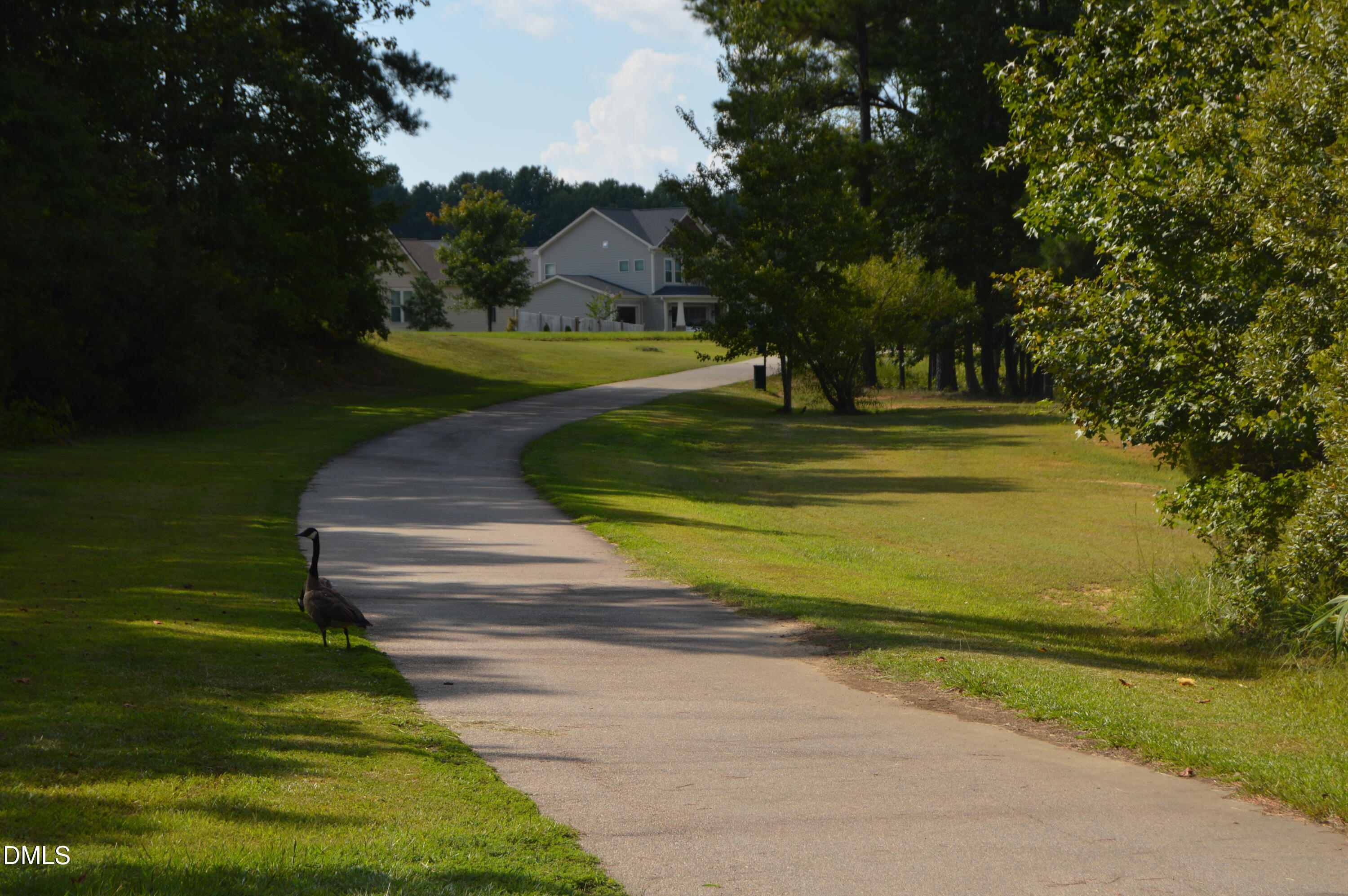 523 Catfish Lake Drive Property Photo 53